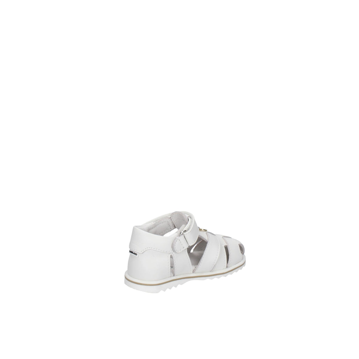 BALDUCCI CITA7367