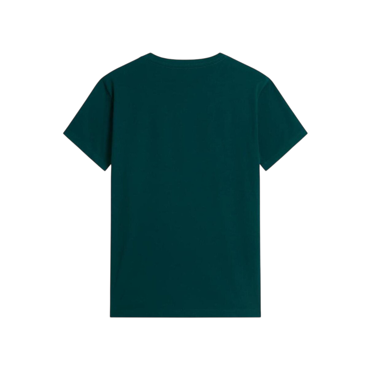 The North Face M EVO SD REGULAR SS TEE NF0A8CZ2N4J