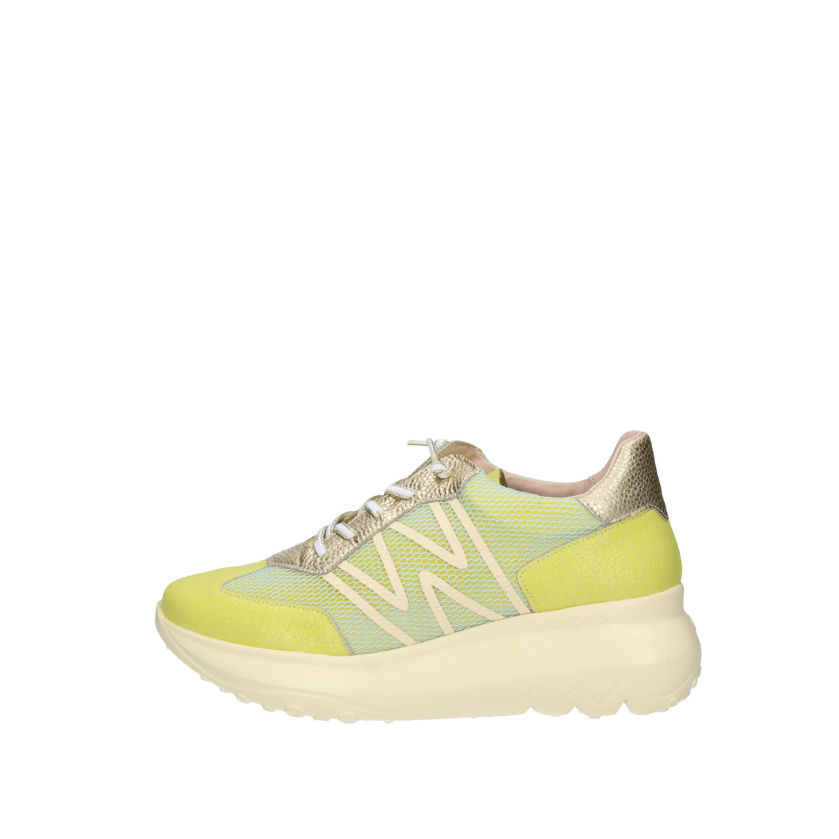WONDERS A-4001 Cedro