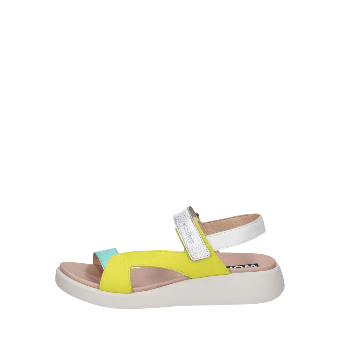 WONDERS C-6543 Multicolor