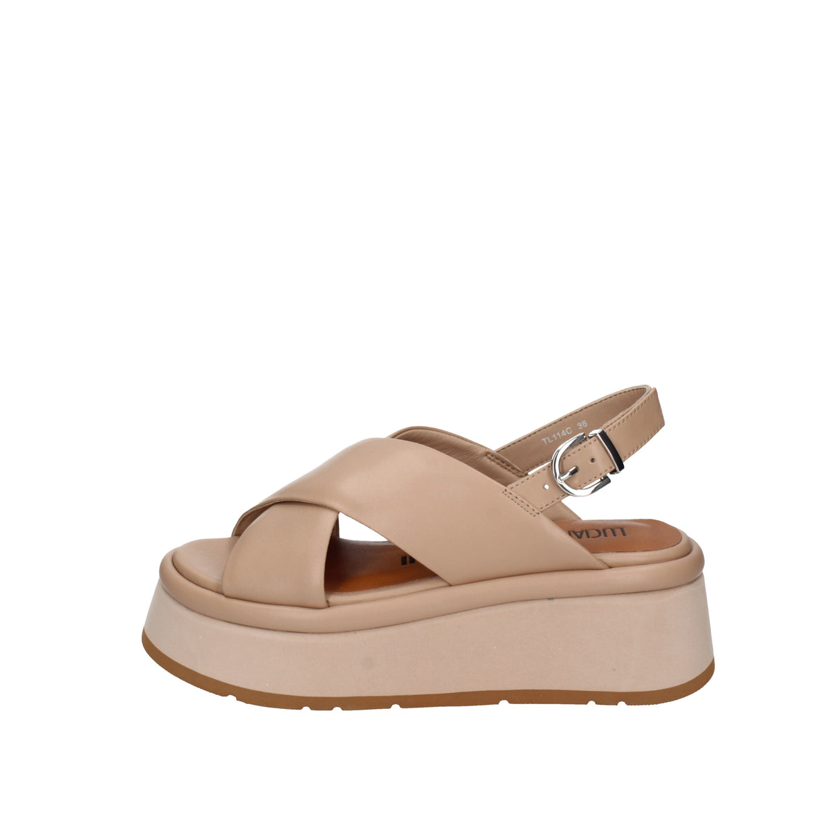 LUCIANO BARACHINI TL114C Rosa