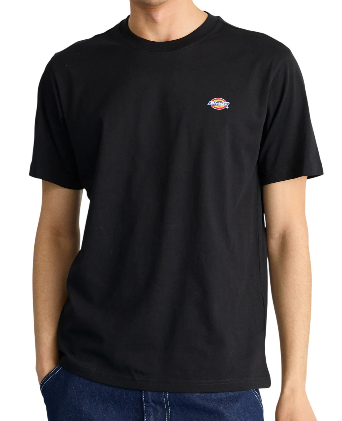 Dickies MAPLETON SS TEE DK0A4XDBBLK1