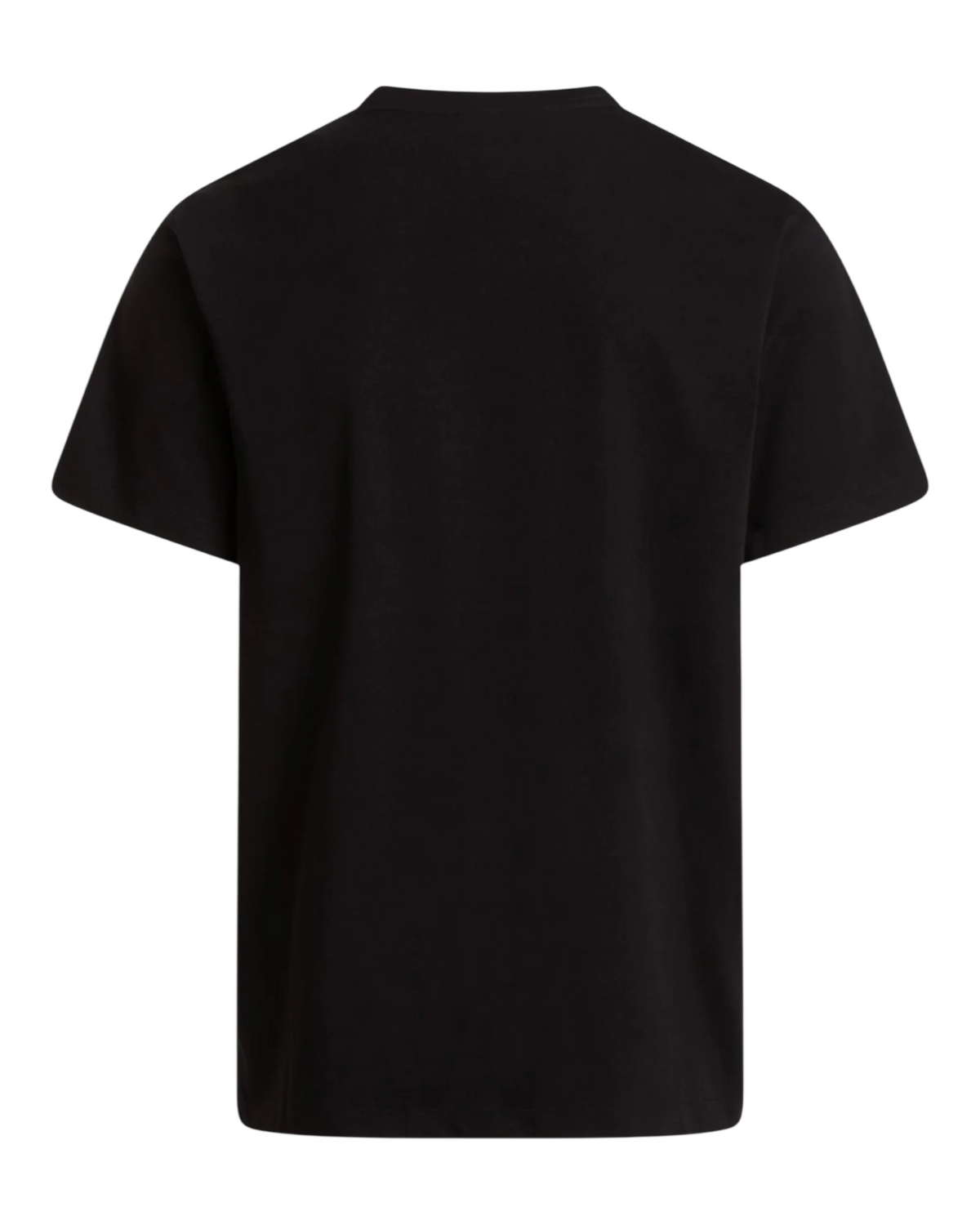 The North Face M EVO SD REGULAR SS TEE NF0A8CZ2JK3