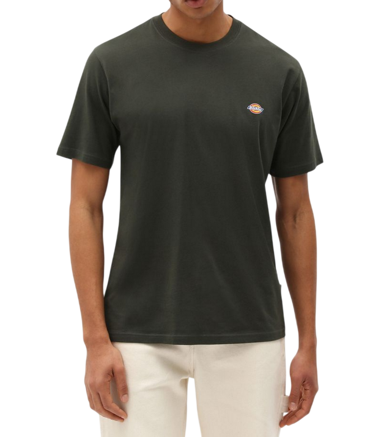 Dickies MAPLETON SS TEE DK0A4XDBOGX1