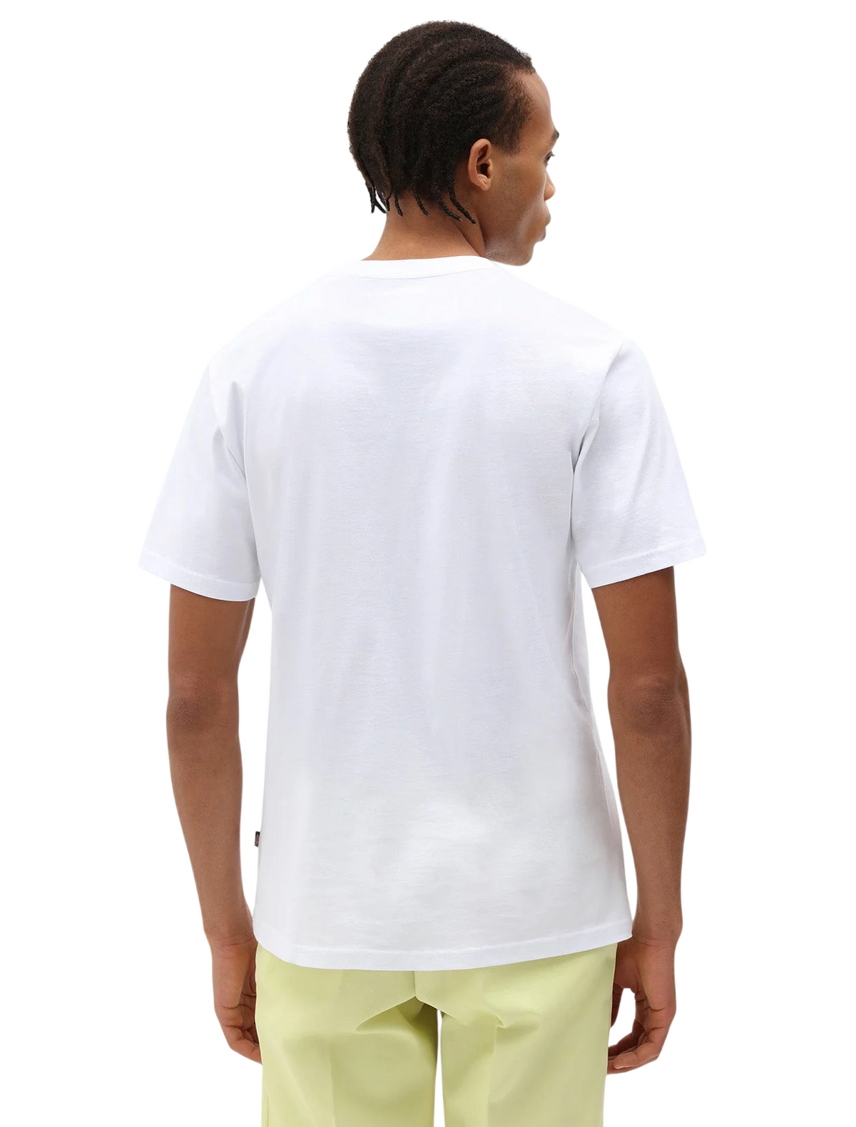 Dickies MAPLETON SS TEE DK0A4XDBWHX