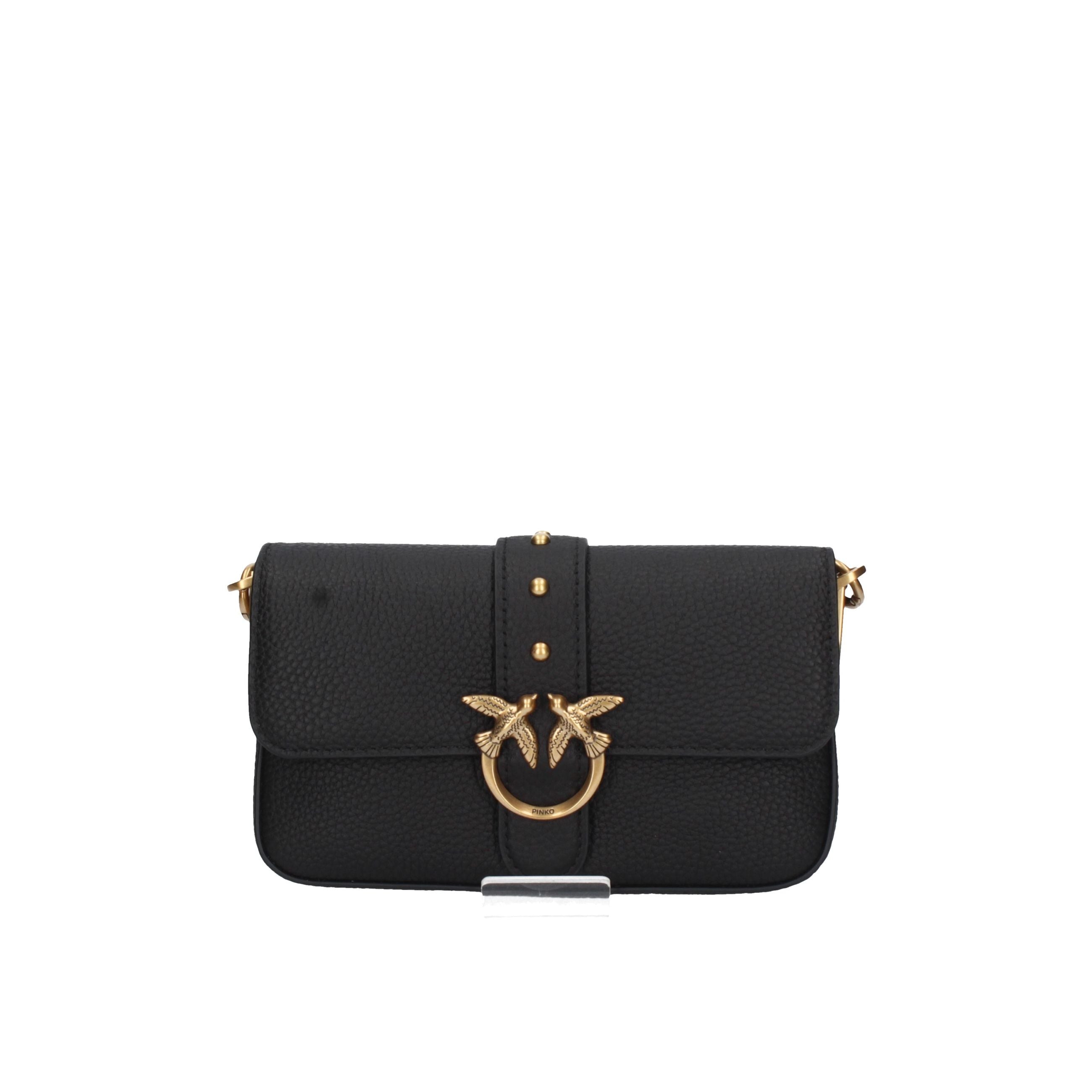 PINKO Piccola pelletteria 105353 A2OX BCO SETA