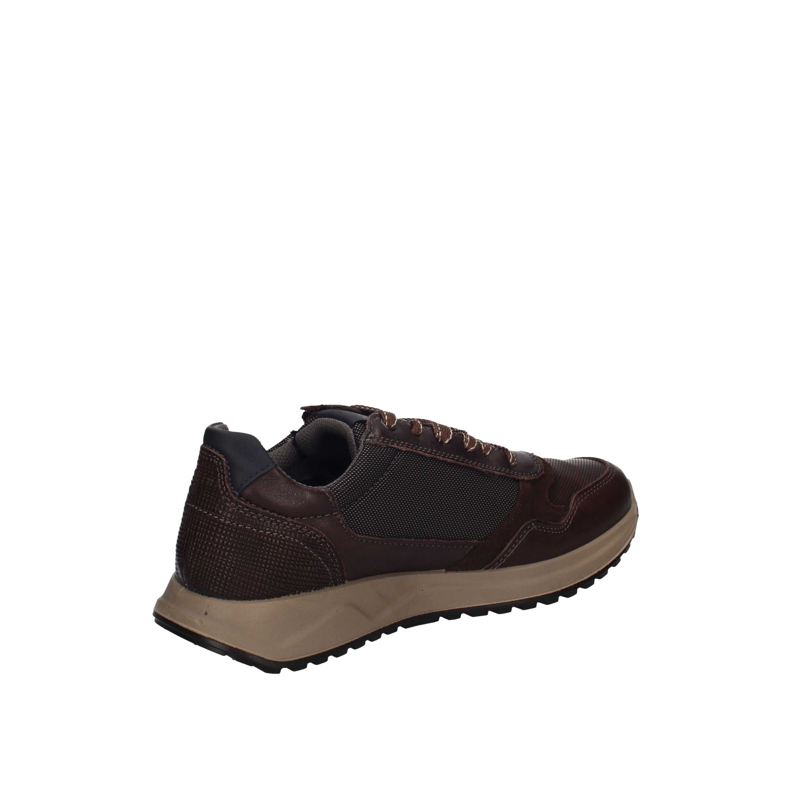IGI&CO SARONNO 2138311