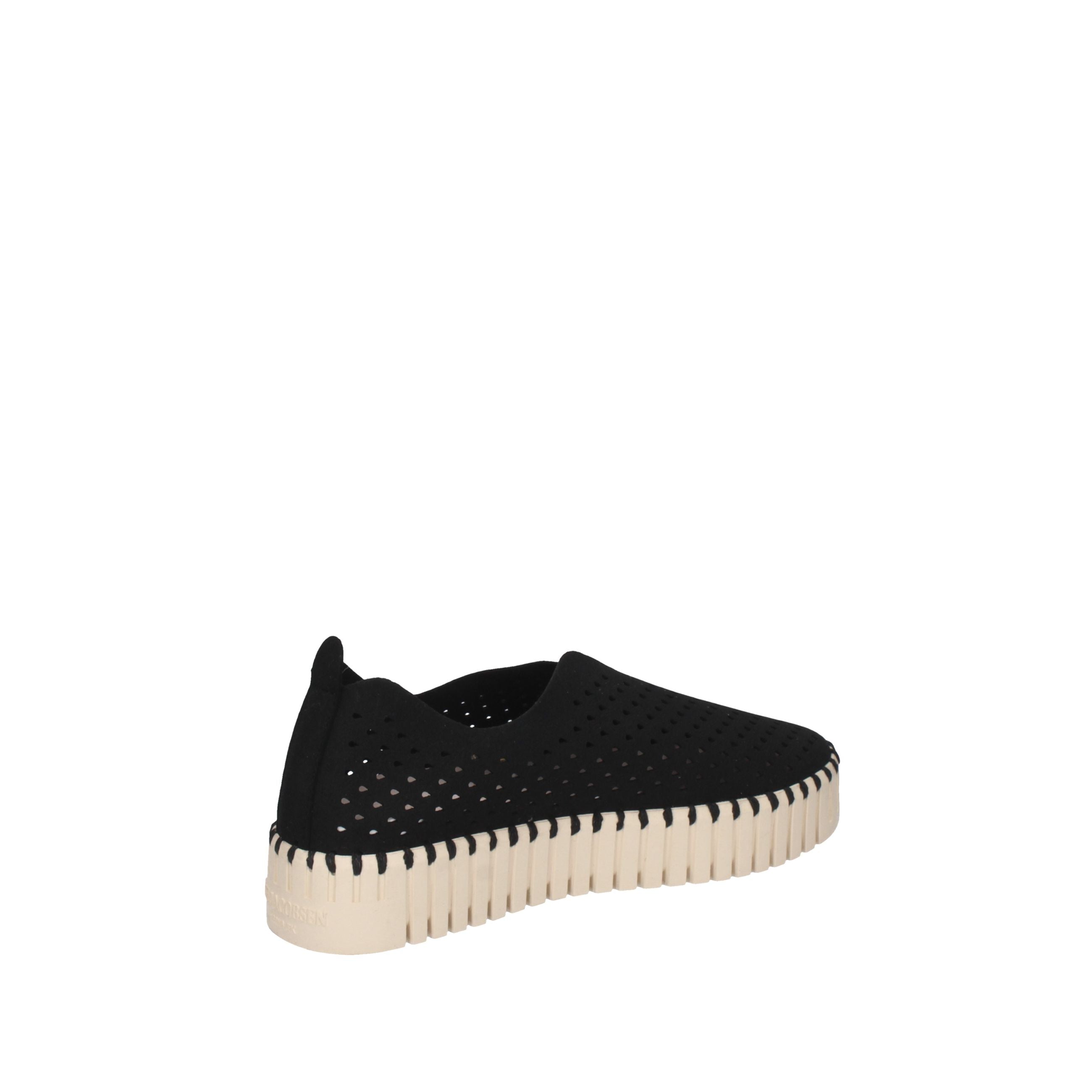 JACOBSEN  IJ.TULIP33373