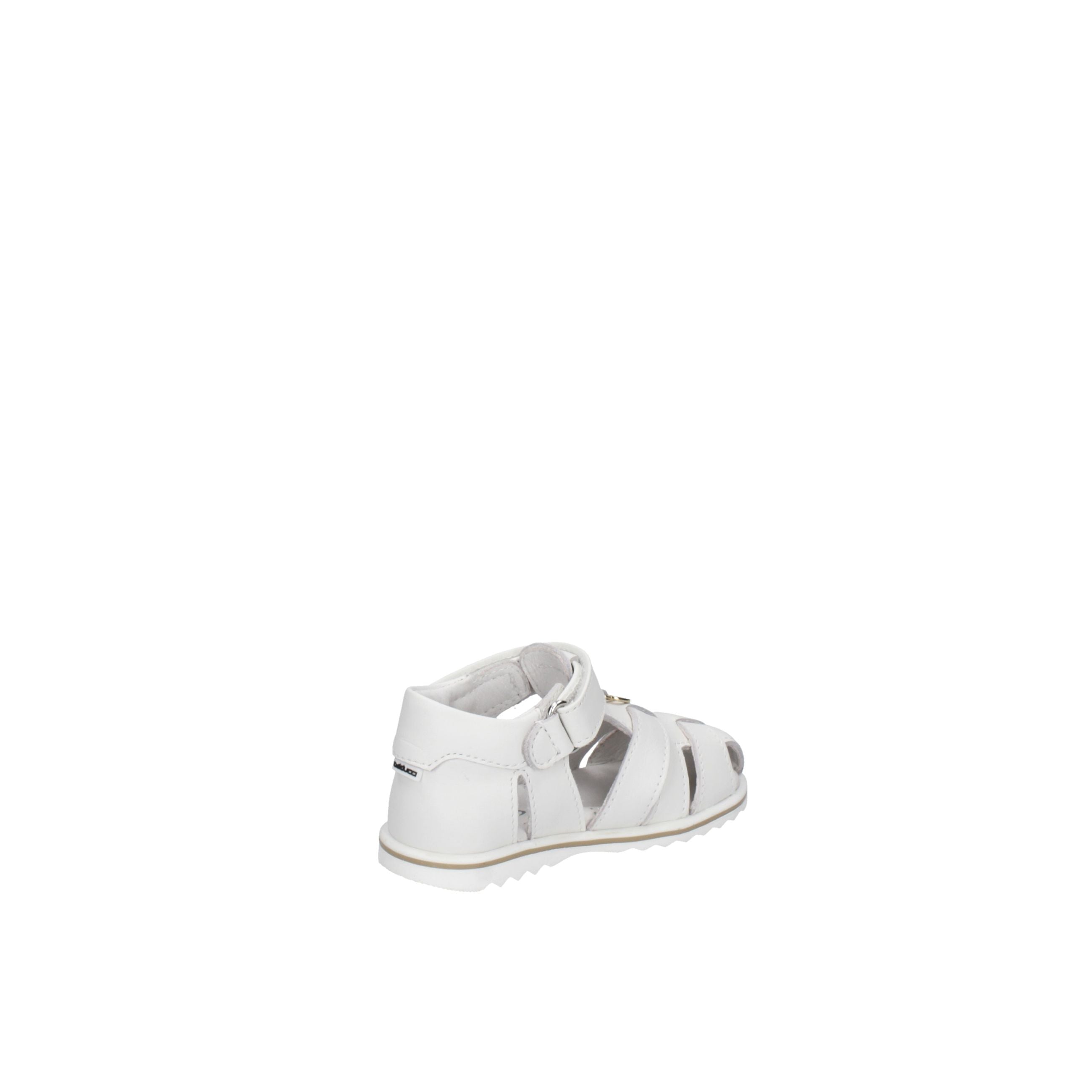 BALDUCCI  CITA7367