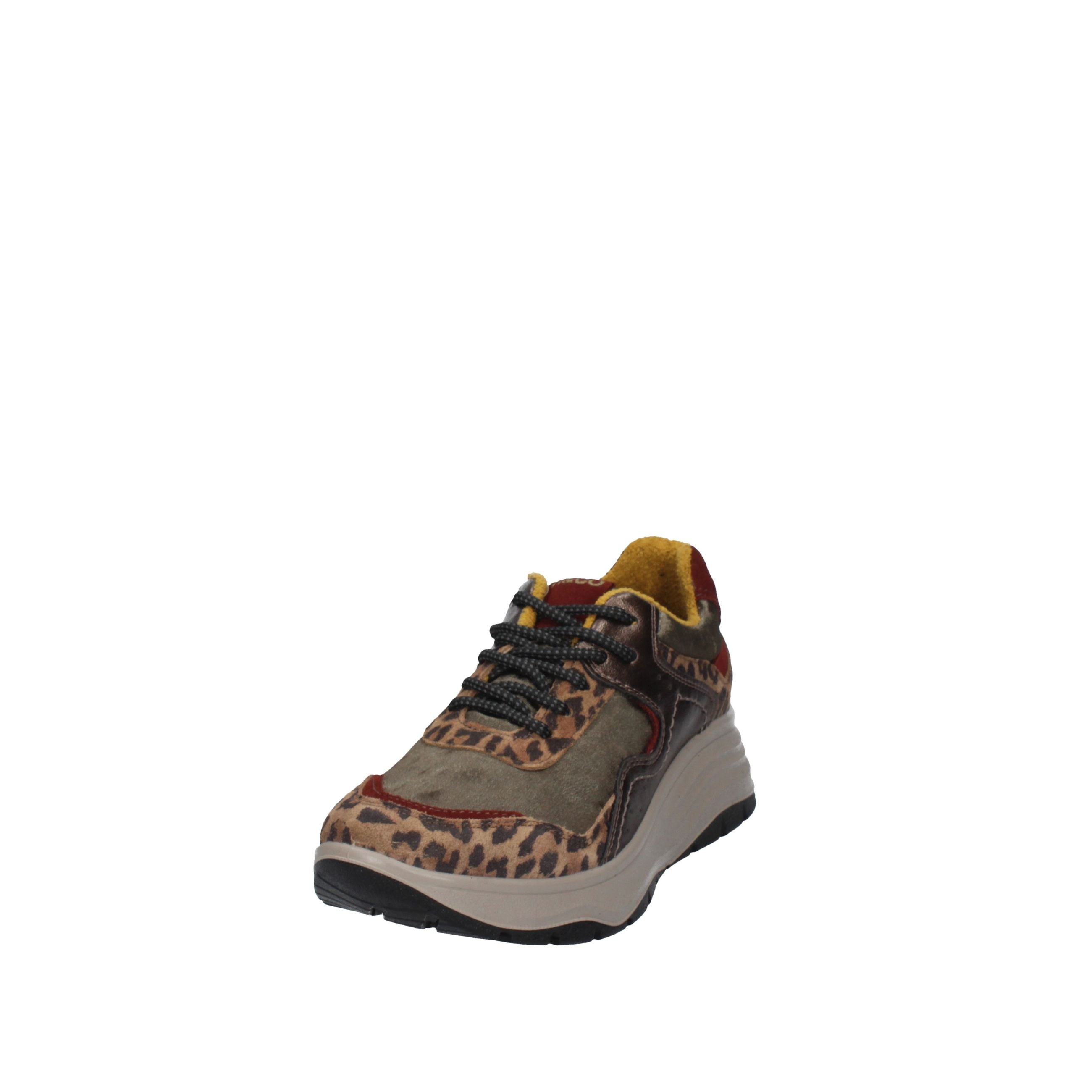 IGI&CO Scarpe 86826/33 TORTORA/VERDE