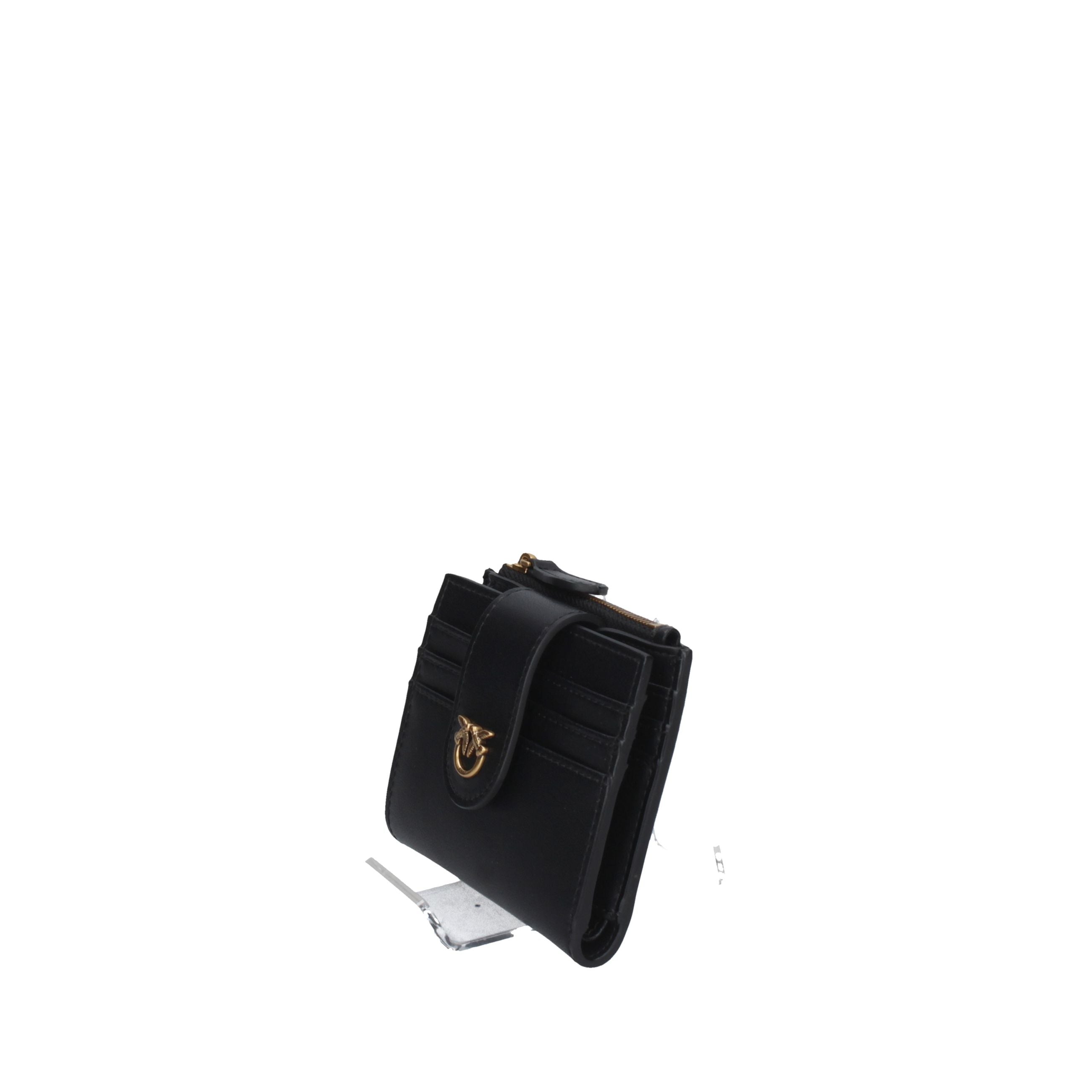 PINKO Piccola pelletteria 103610 A0F1 NERO