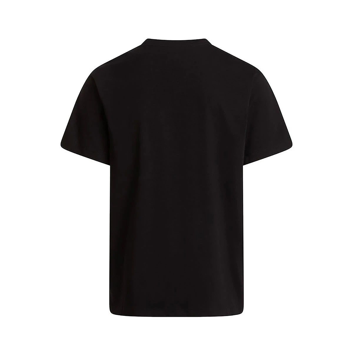 The North Face EVOLUTION SD REGULAR SS TEE NF0A8CZ2JK3