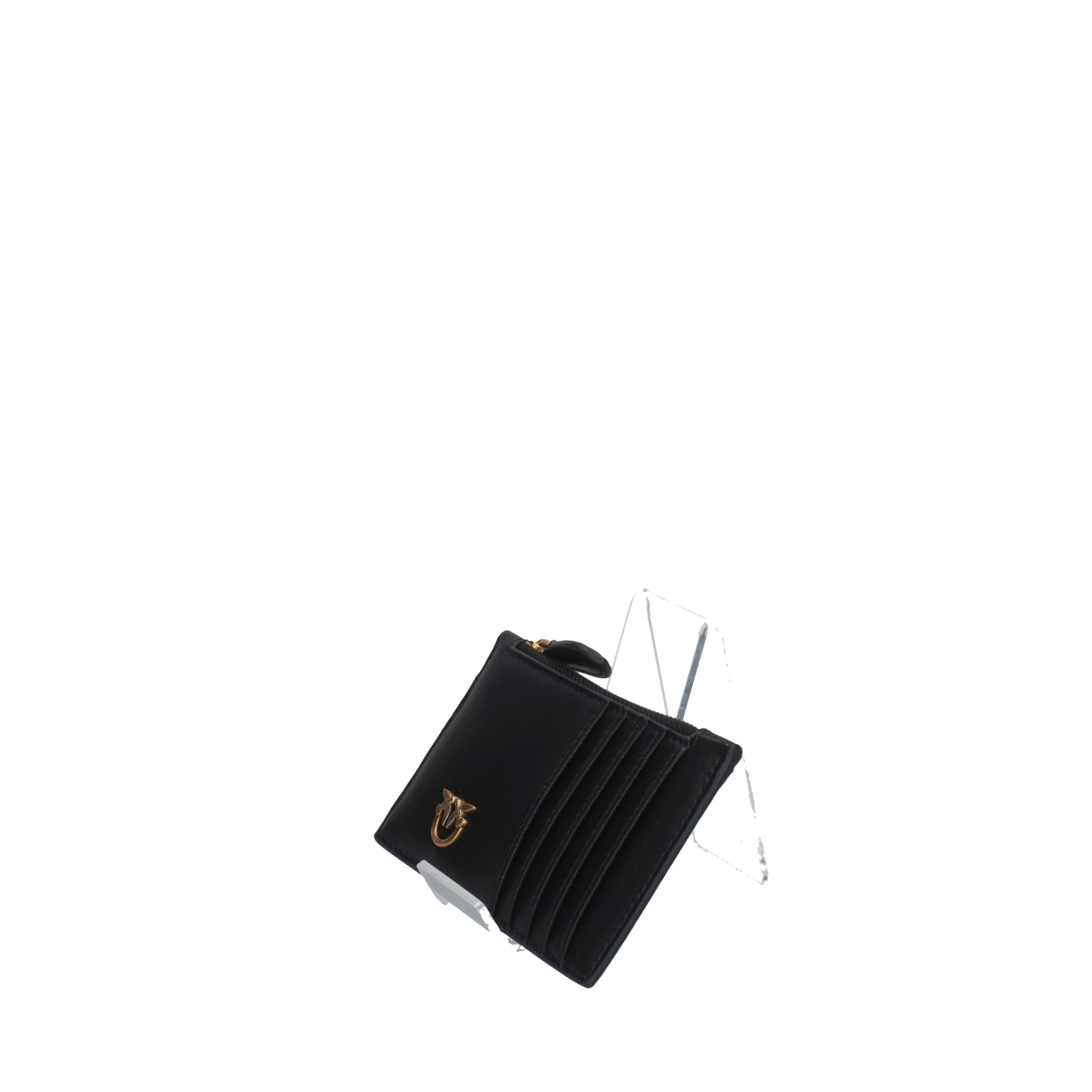 PINKO AIRONE CARDHOLDER VITELLO 100251-A0F1