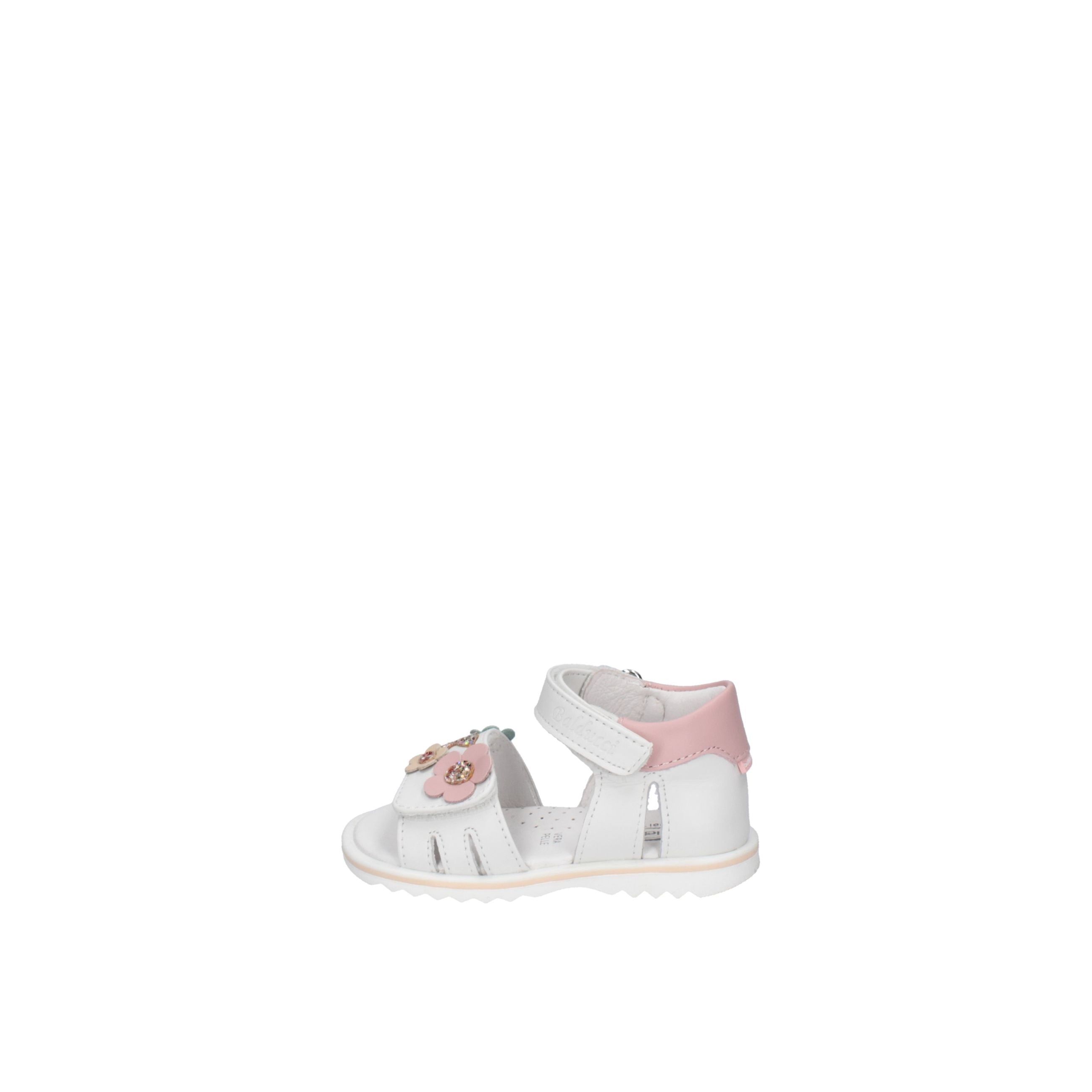 BALDUCCI  CITA7366