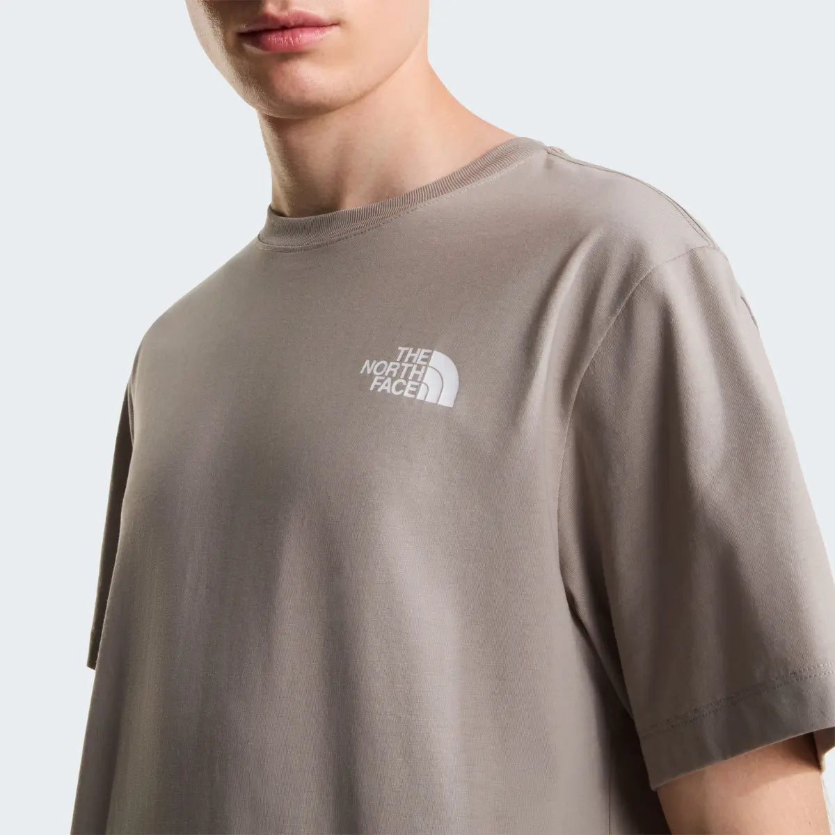 The North Face EVOLUTION BOX NSE REGULAR SS NF0A8B6K2MB