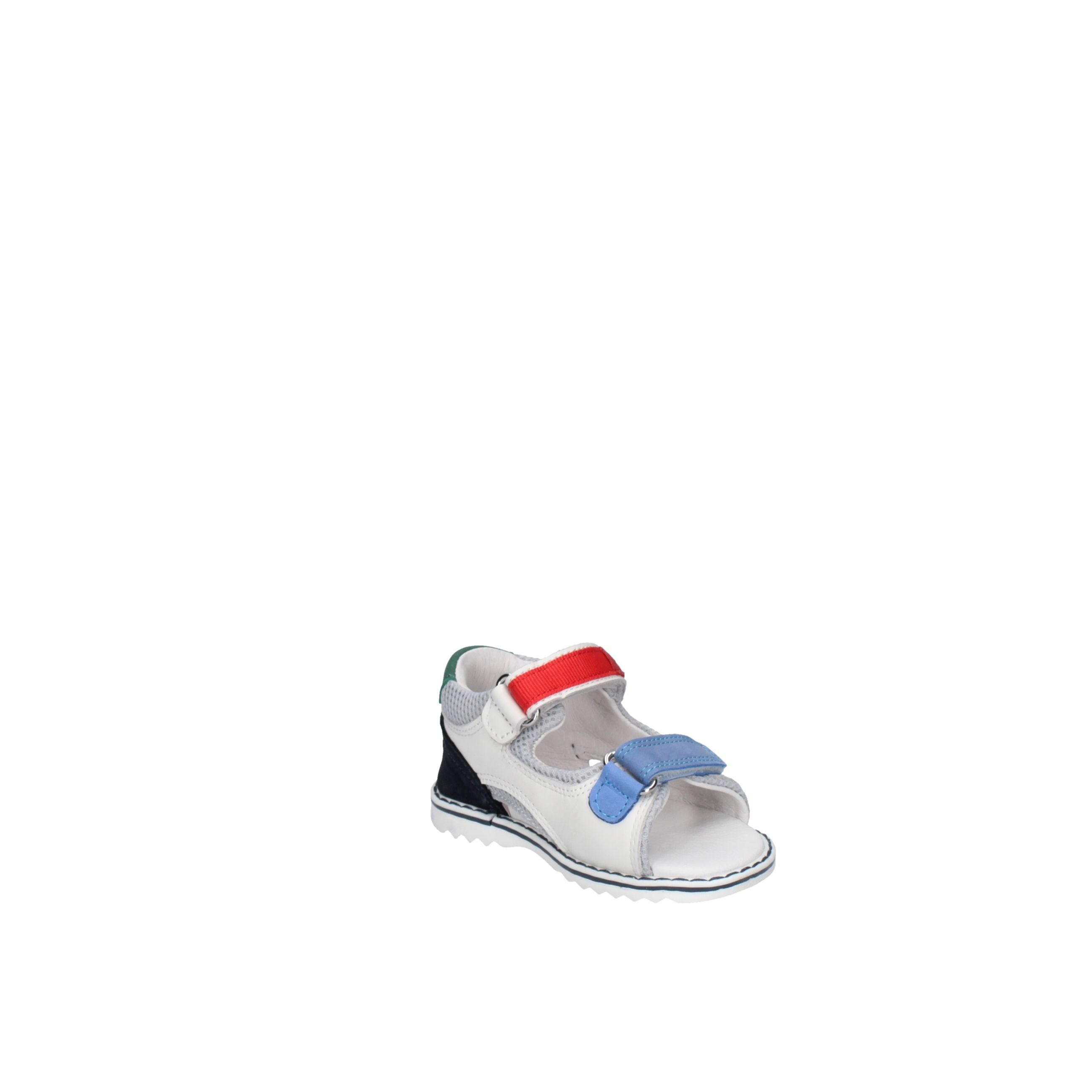 BALDUCCI  CITA7369