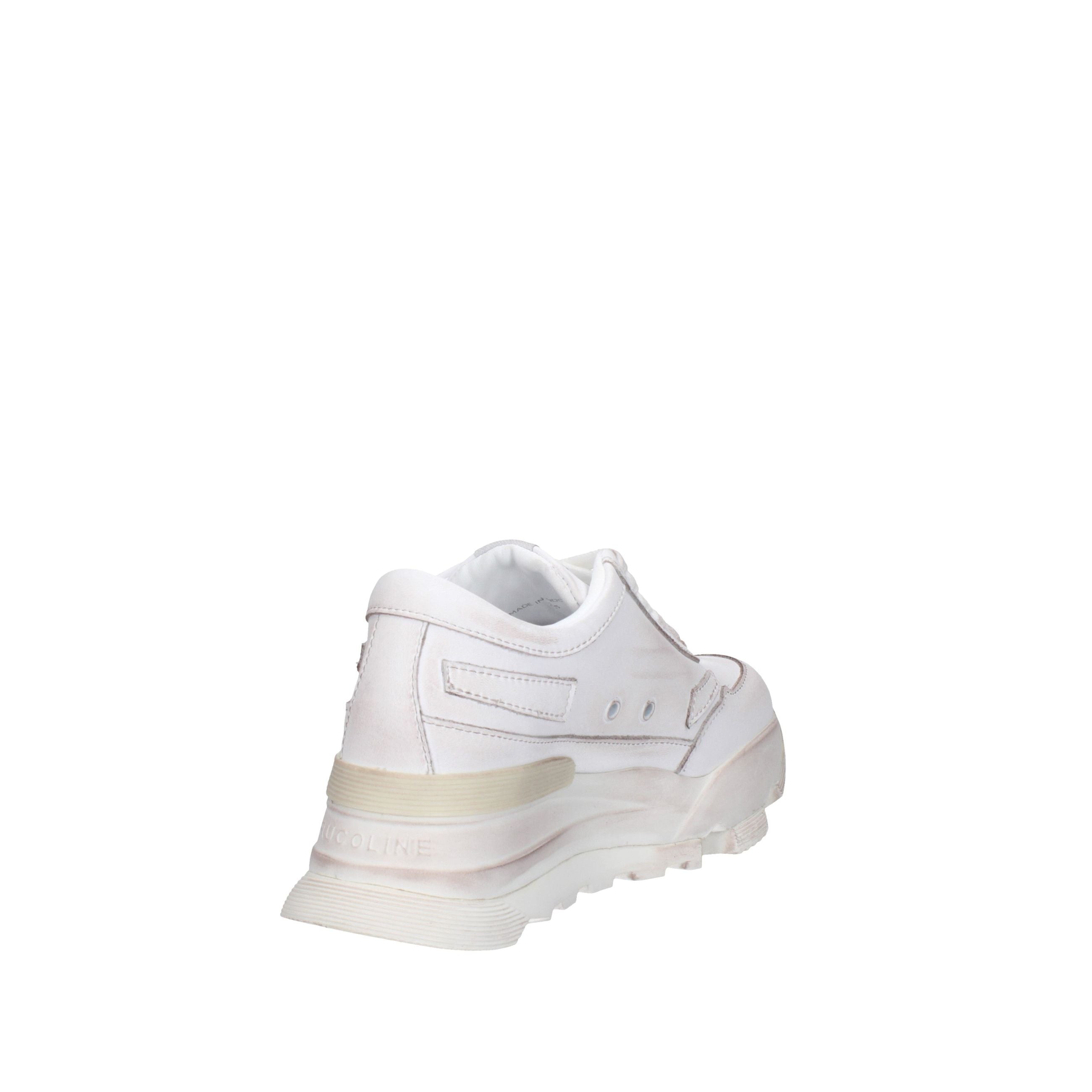RUCOLINE  304