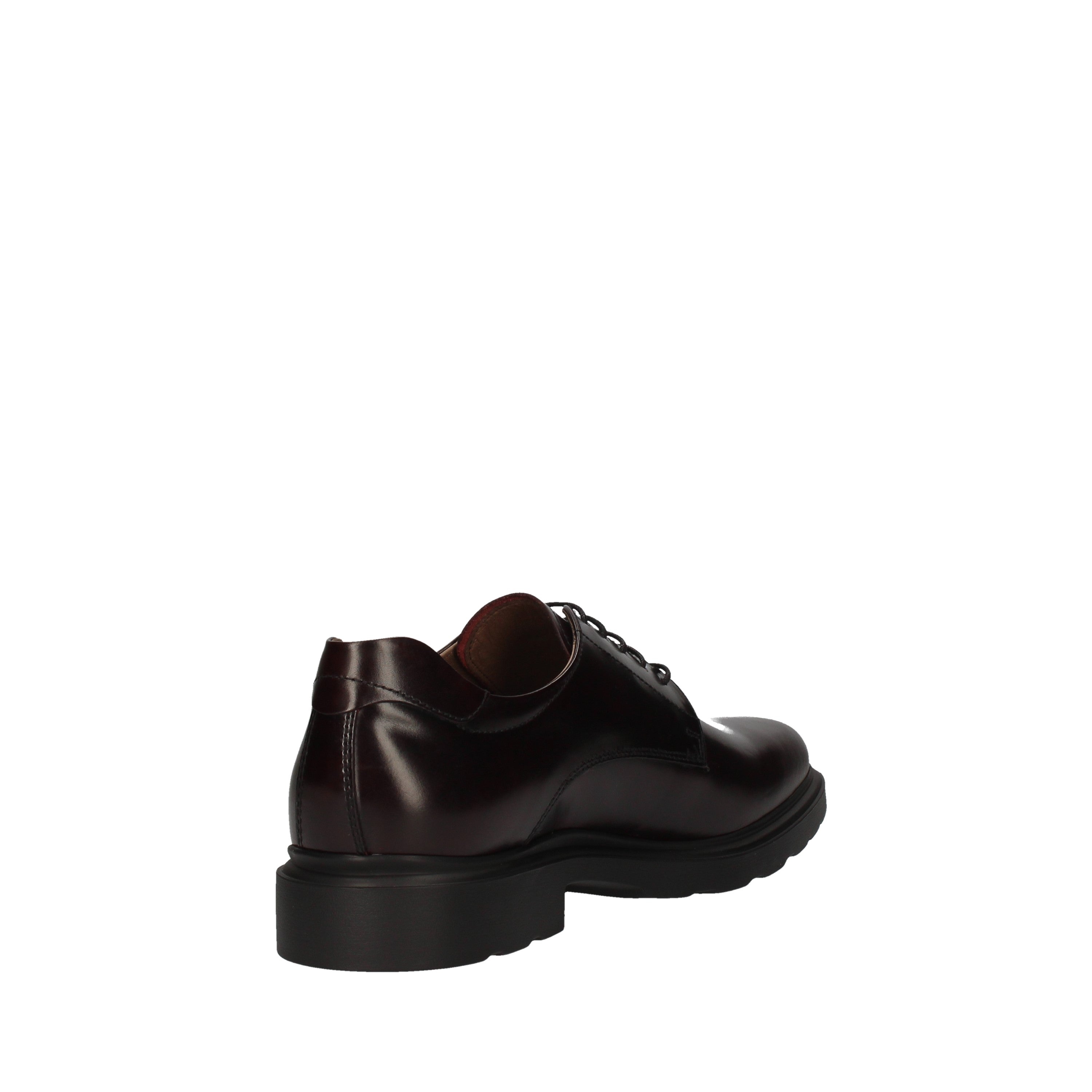 nero giardini stringata modello kingo bordeaux a901141u