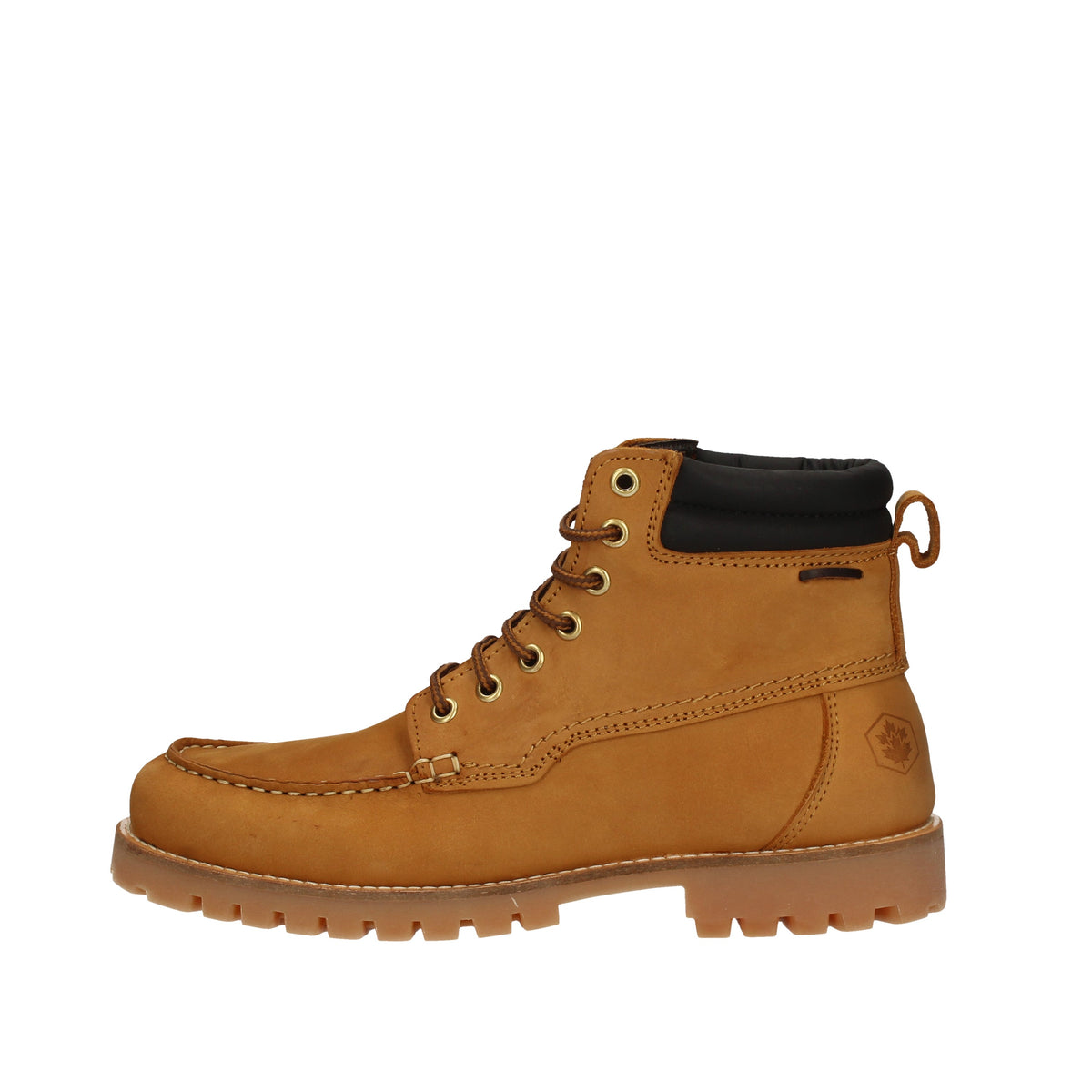 LUMBERJACK  SM33401-001 Giallo