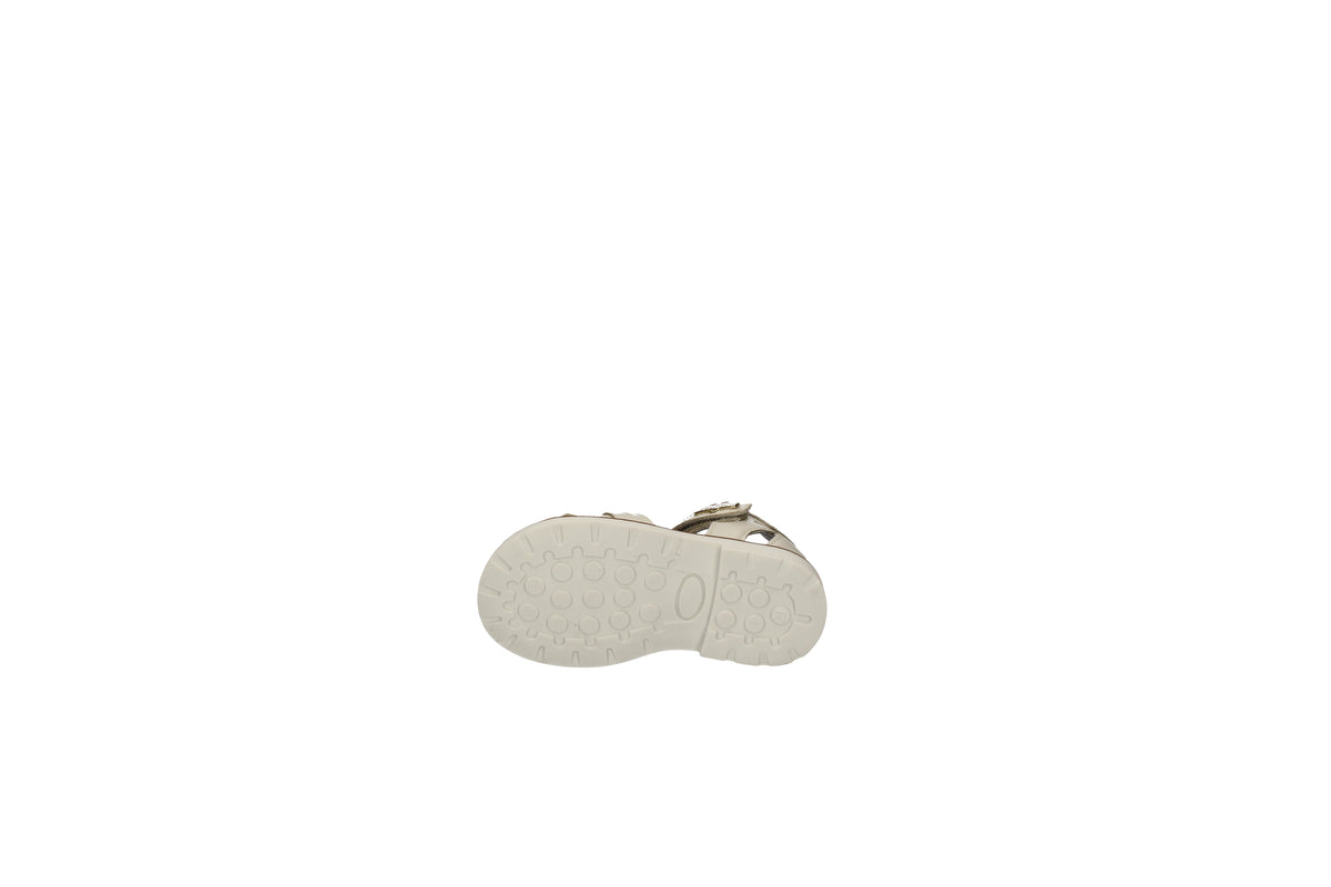 BALDUCCI  CIT2608 Perla