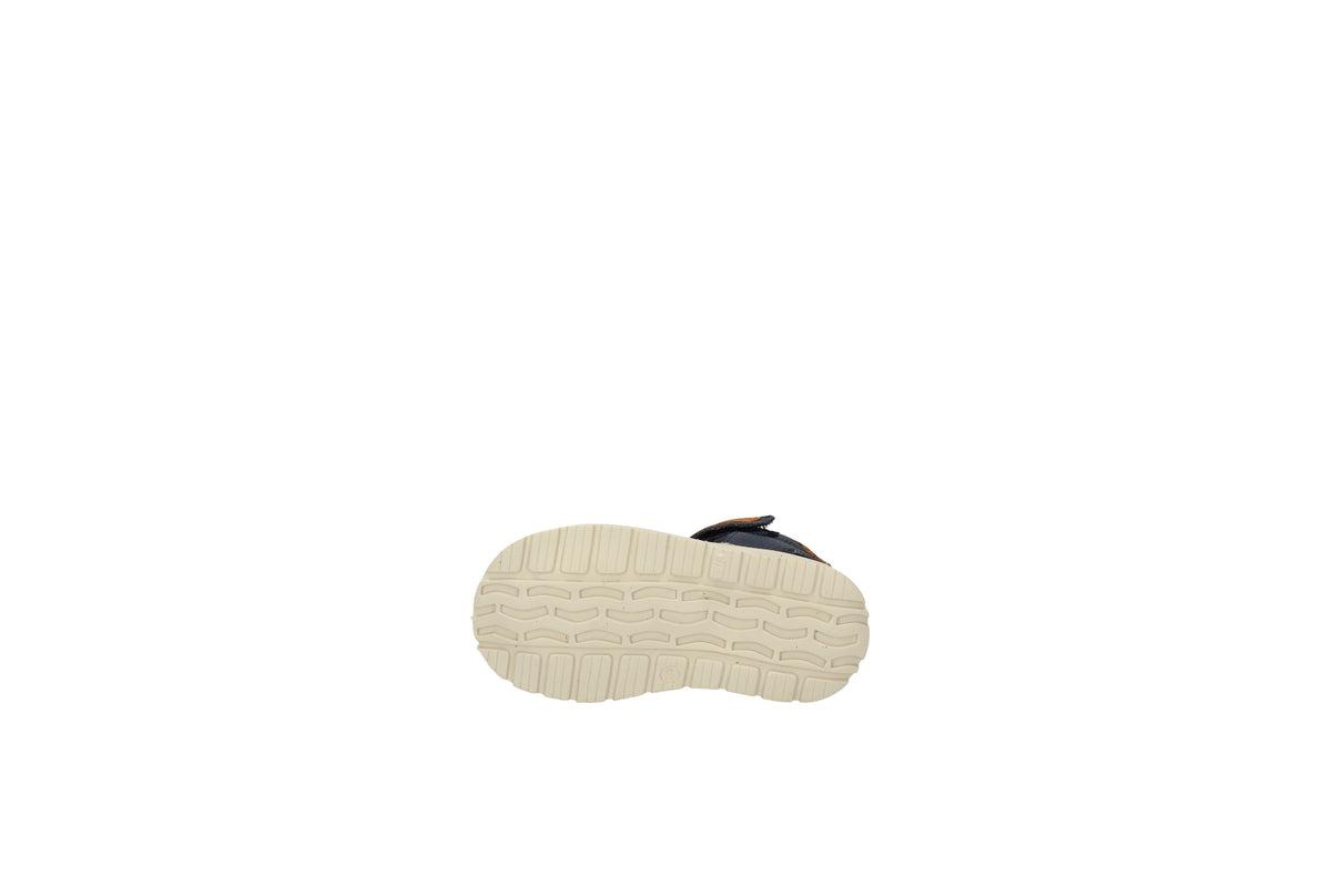 BALDUCCI  CIT3552 Blu