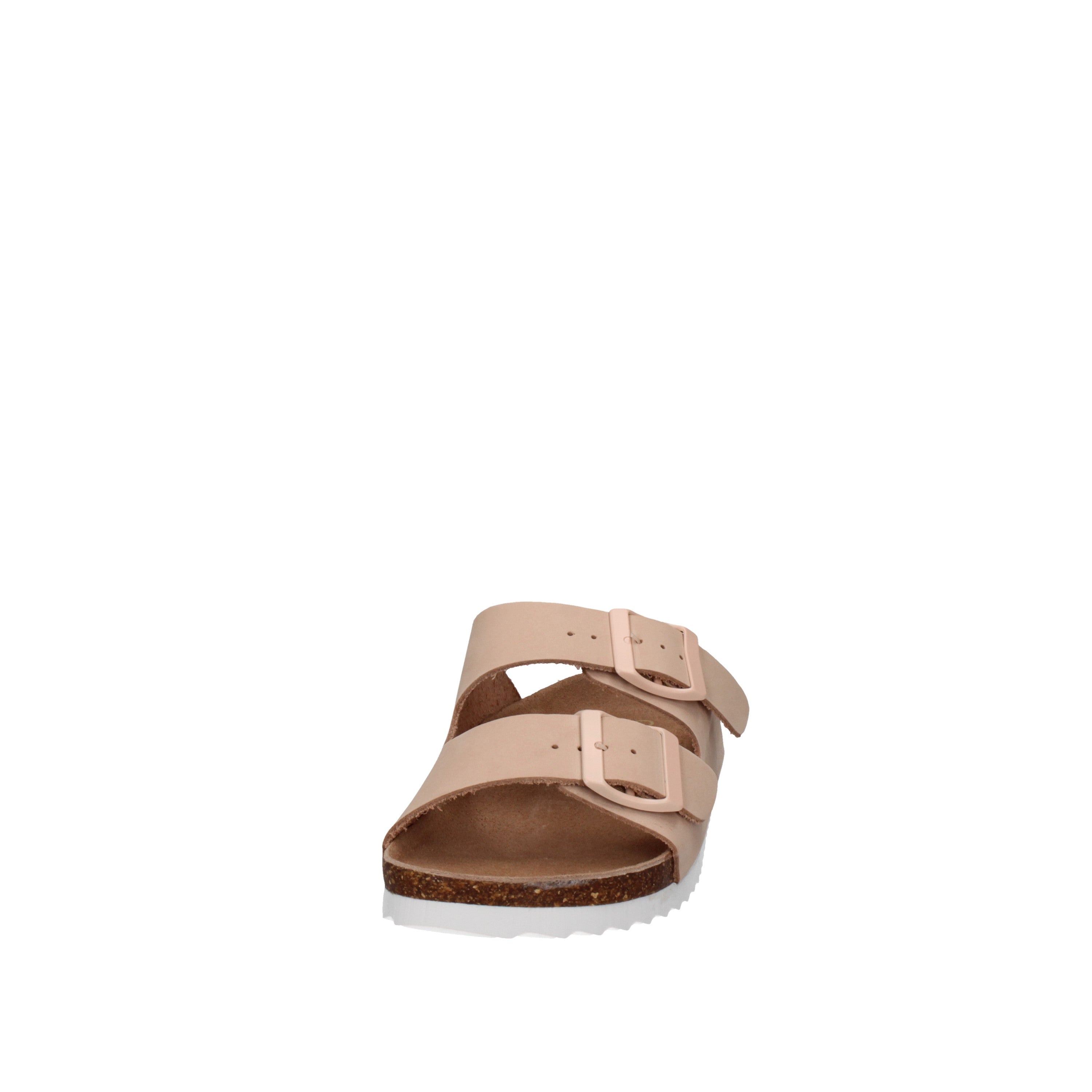 COLORS OF CALIFORNIA  HC.BIO410 Rosa