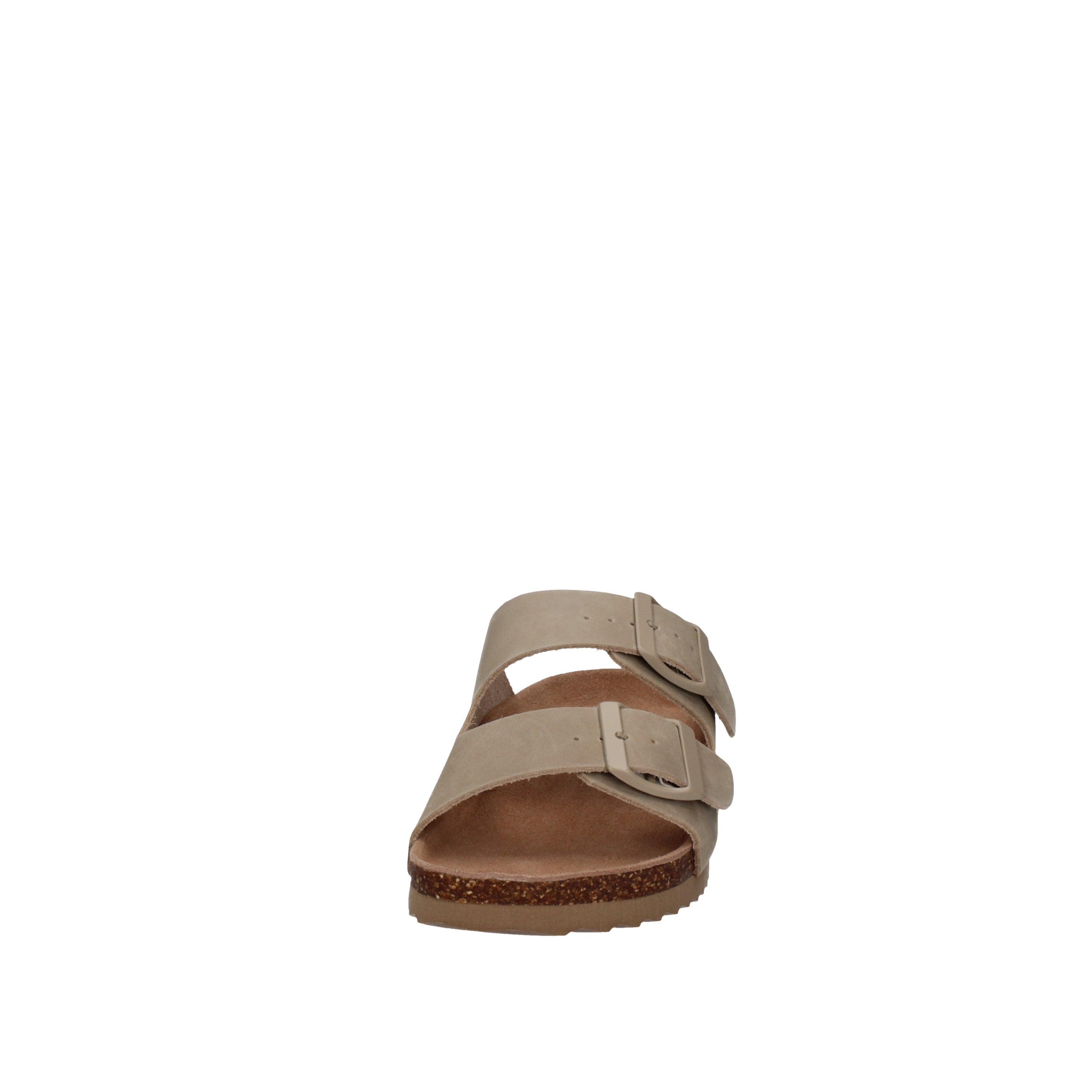 COLORS OF CALIFORNIA  HC.BIO410 Fango