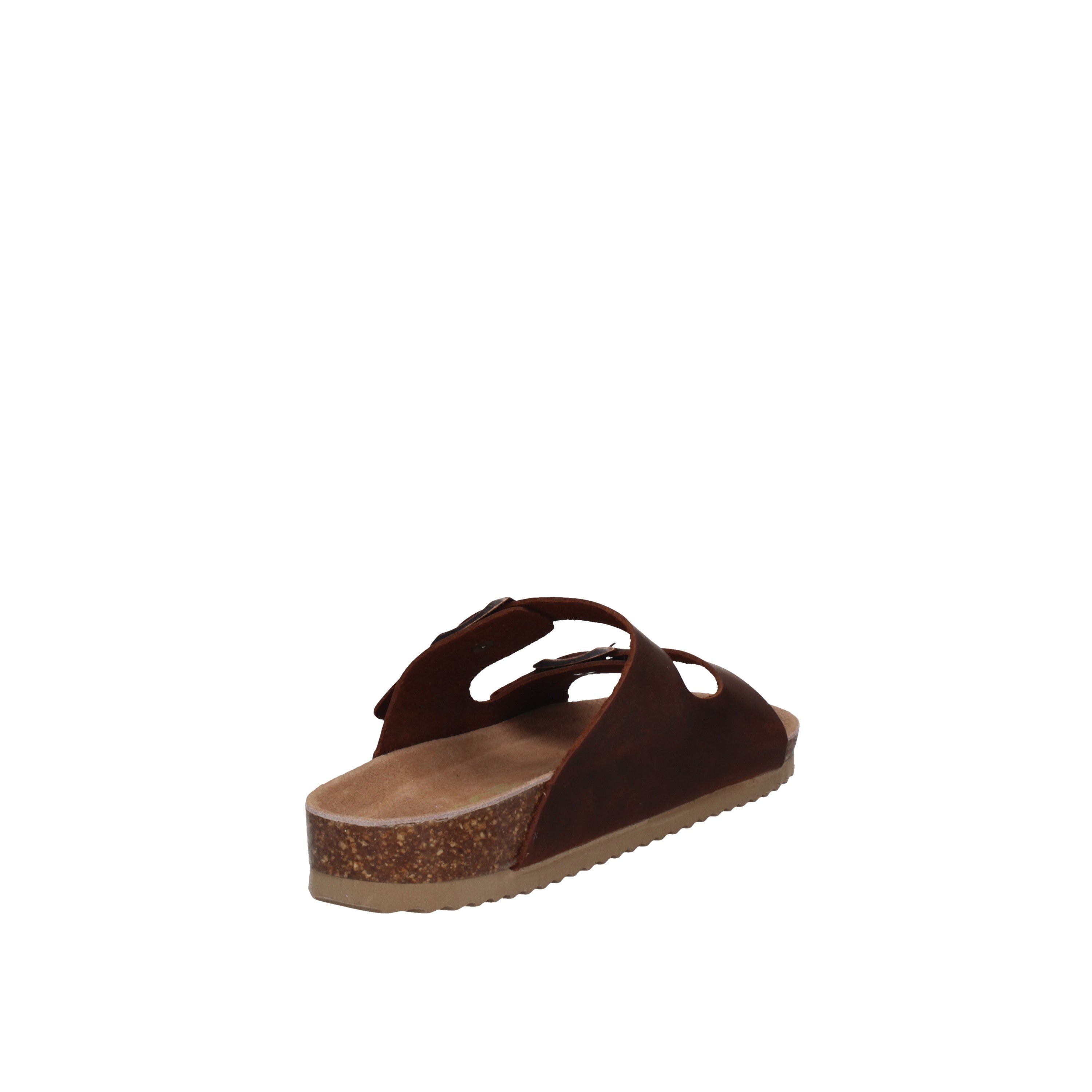 COLORS OF CALIFORNIA  HC.BIO410 Tan