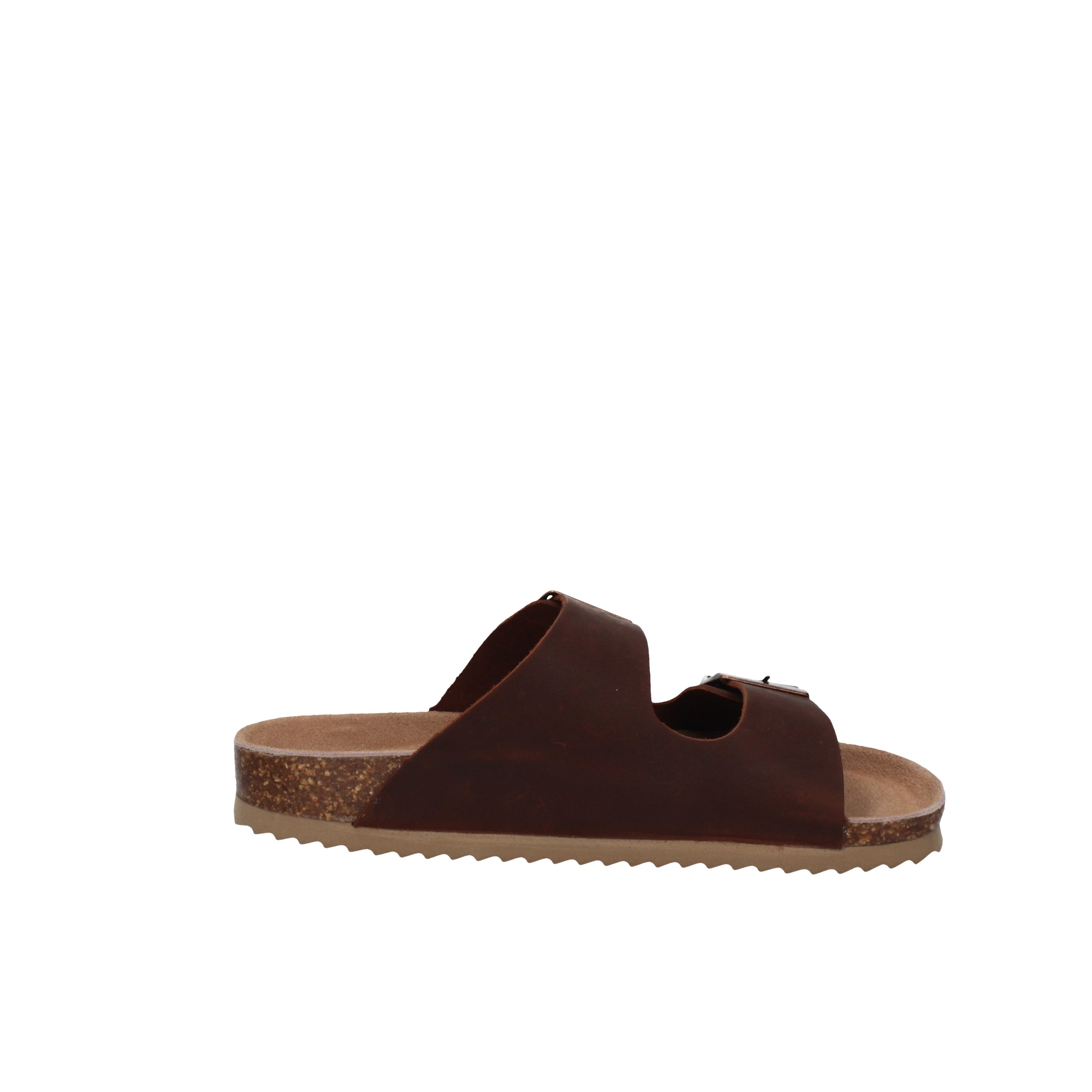 COLORS OF CALIFORNIA  HC.BIO410 Tan