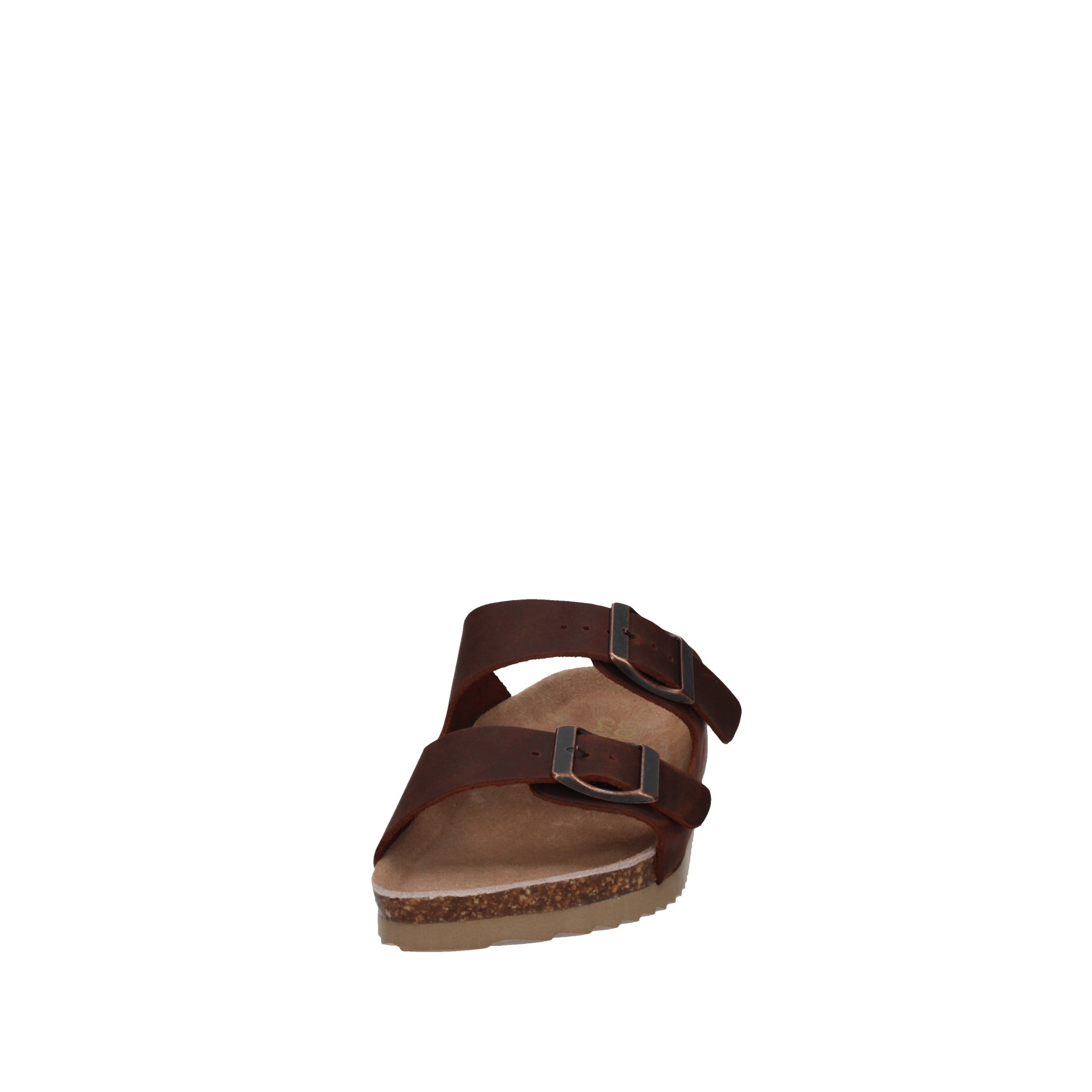 COLORS OF CALIFORNIA  HC.BIO410 Tan