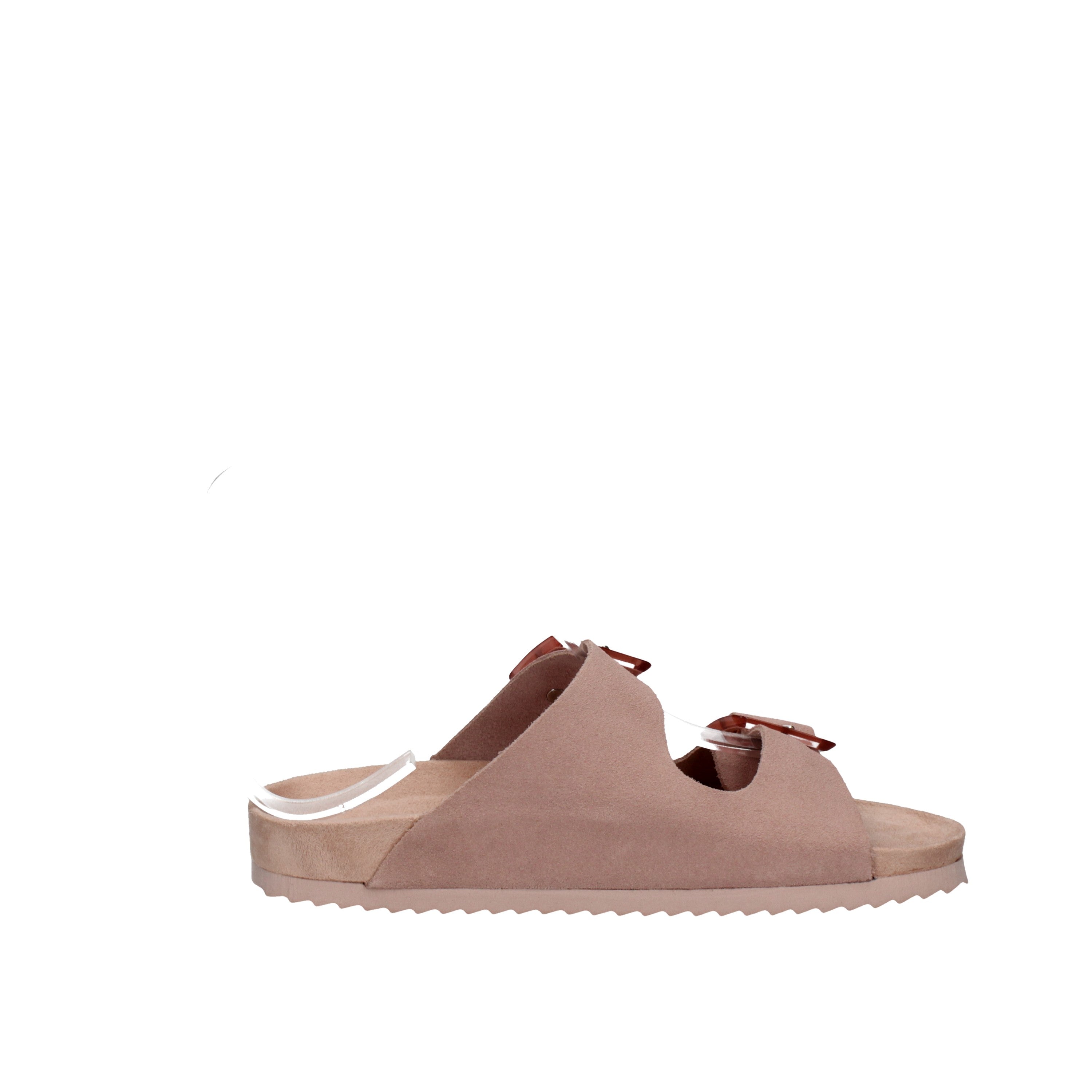 COLORS OF CALIFORNIA  HC.BIO56 Rosa