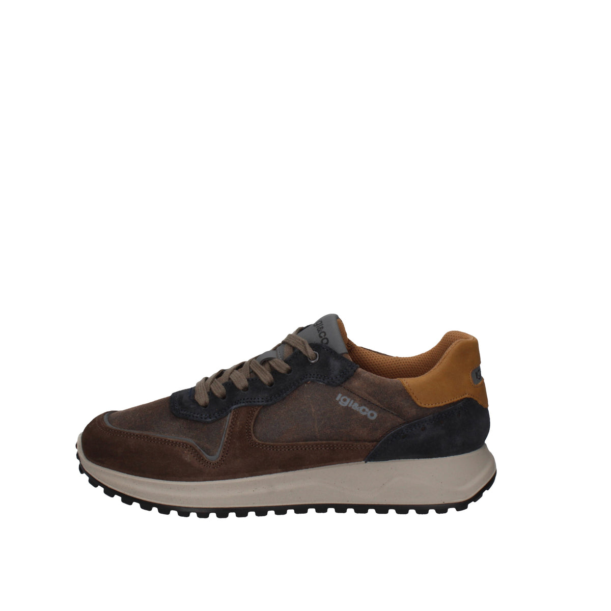 IGI&CO  66385/11 Castagna