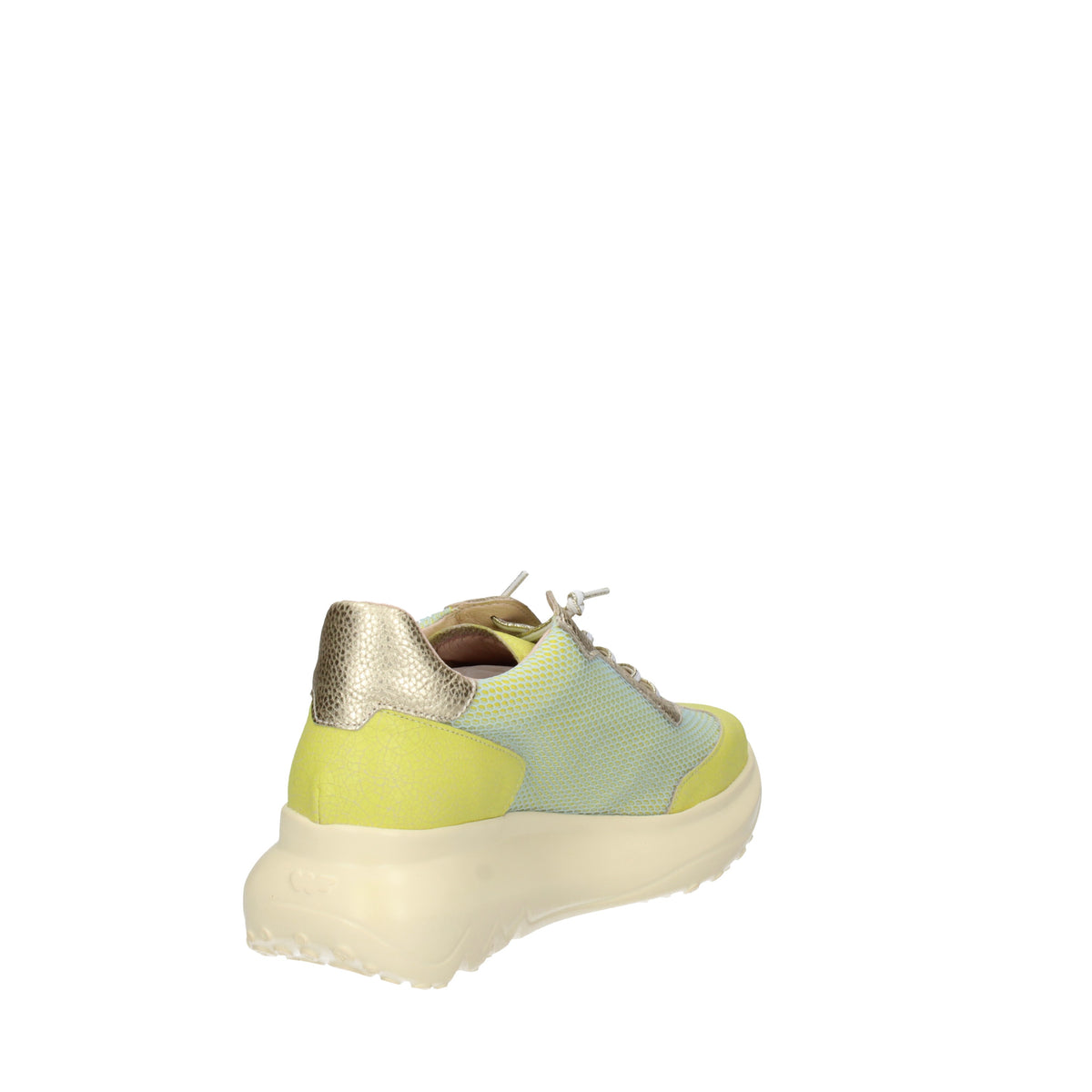 WONDERS  A-4001 Cedro