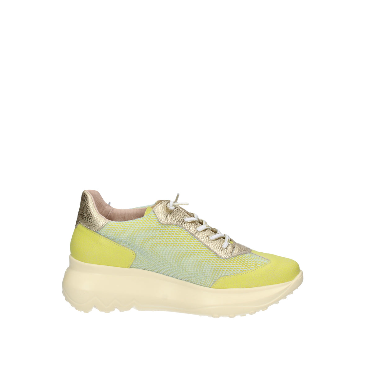 WONDERS  A-4001 Cedro
