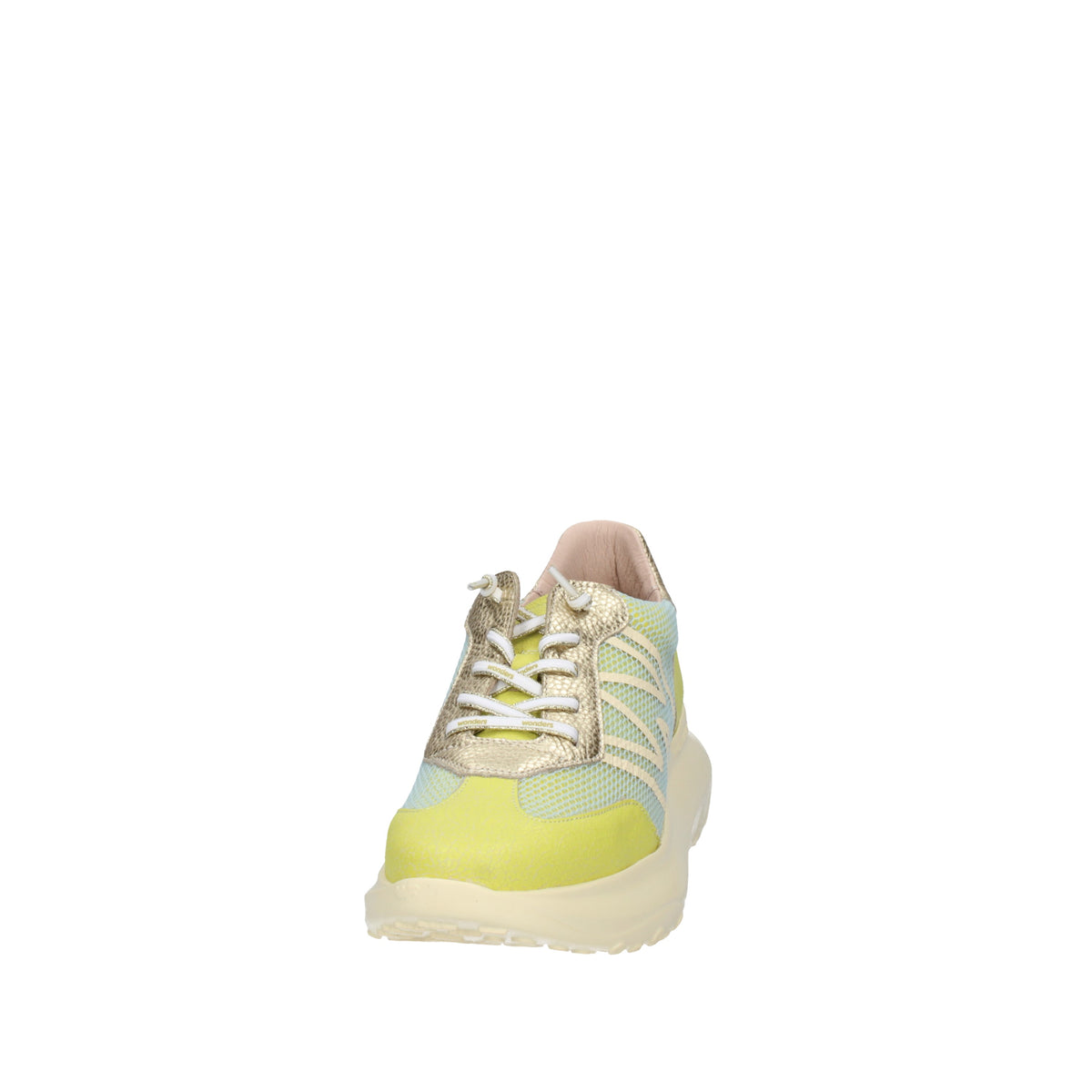 WONDERS  A-4001 Cedro