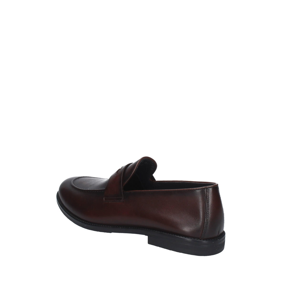 ALBERTO GUARDIANI  AGM317101 Marrone