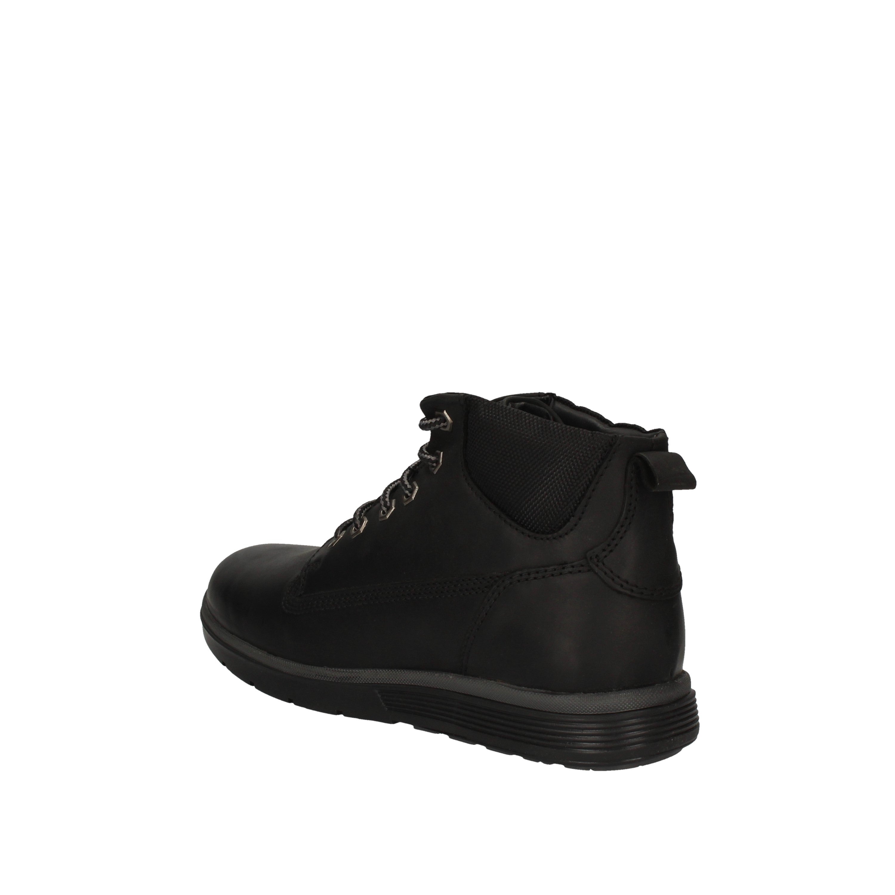 wild land polacchino buell