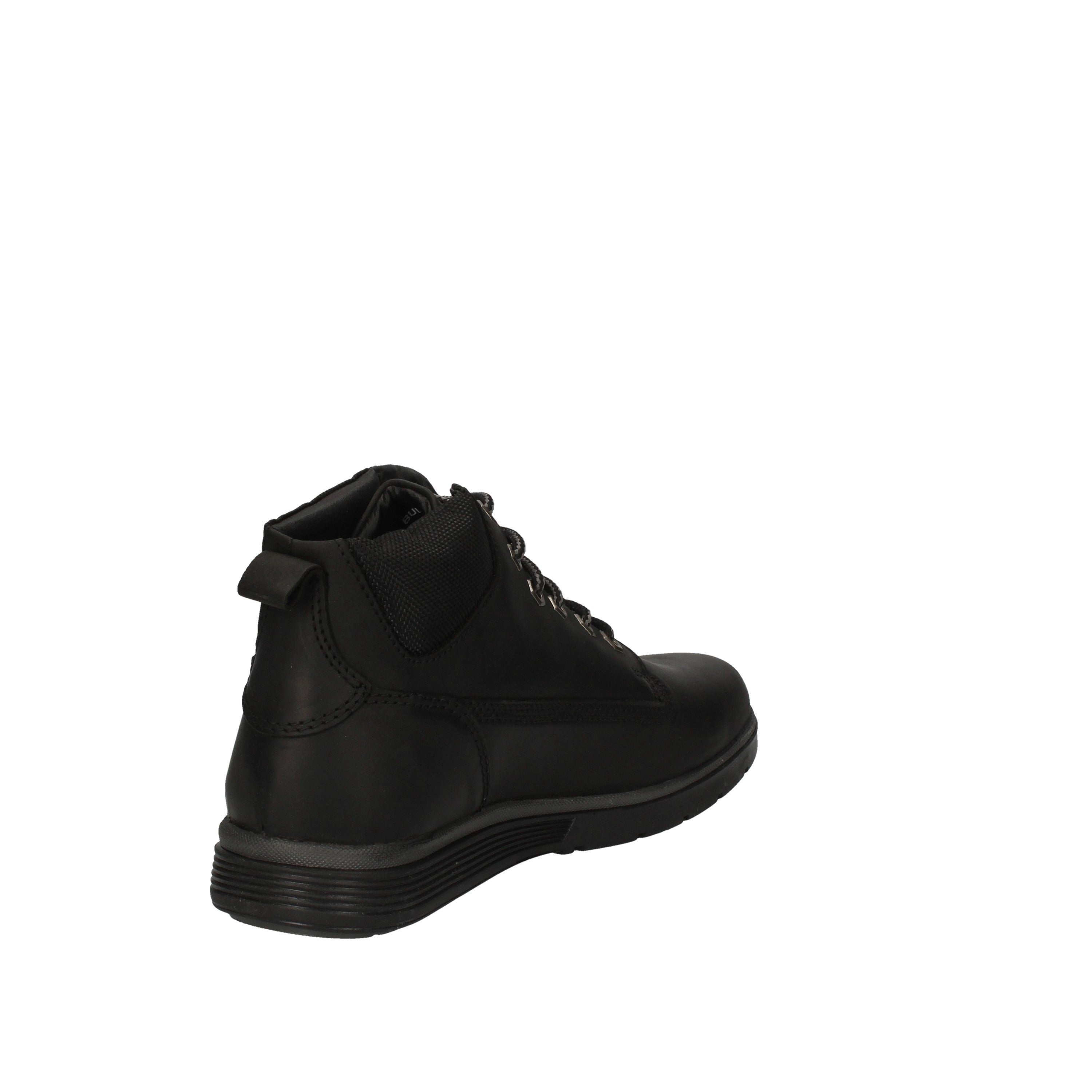 wild land polacchino buell