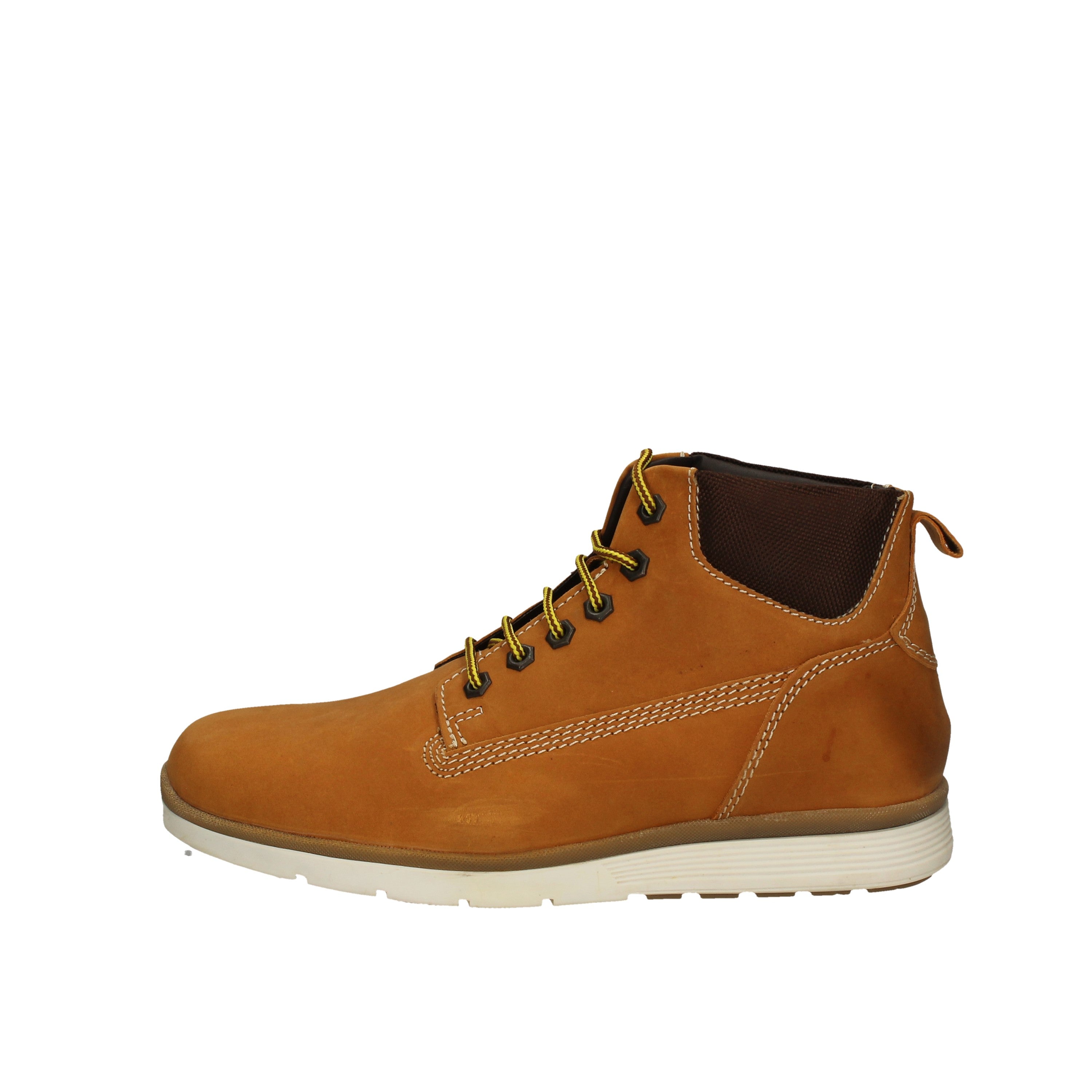 wild land polacchino buell