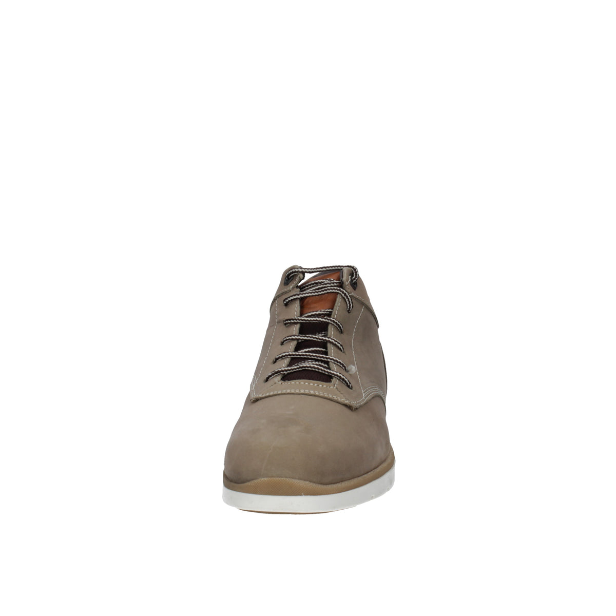 Wild Land  CROSS Non definito