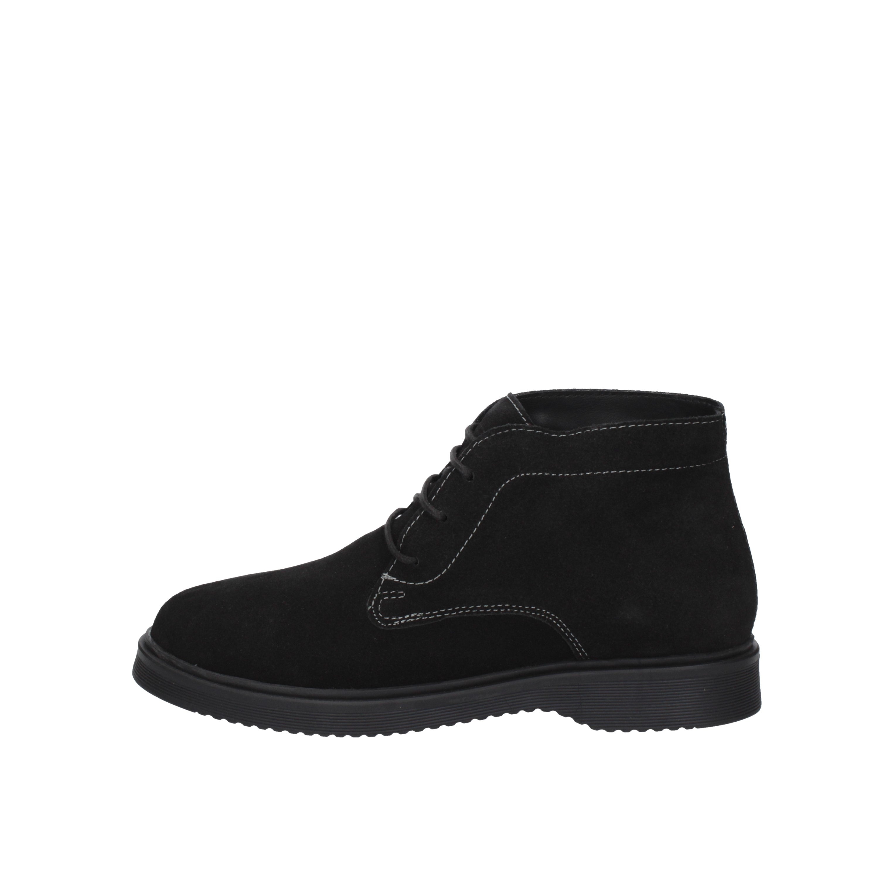 wild land polacchino dezzler