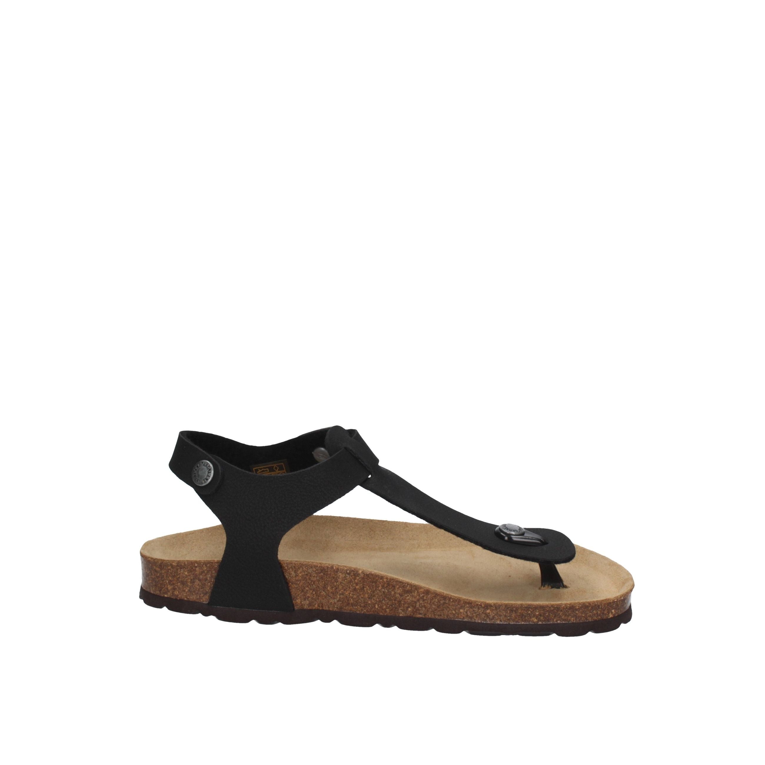 GRUNLAND  SB0215