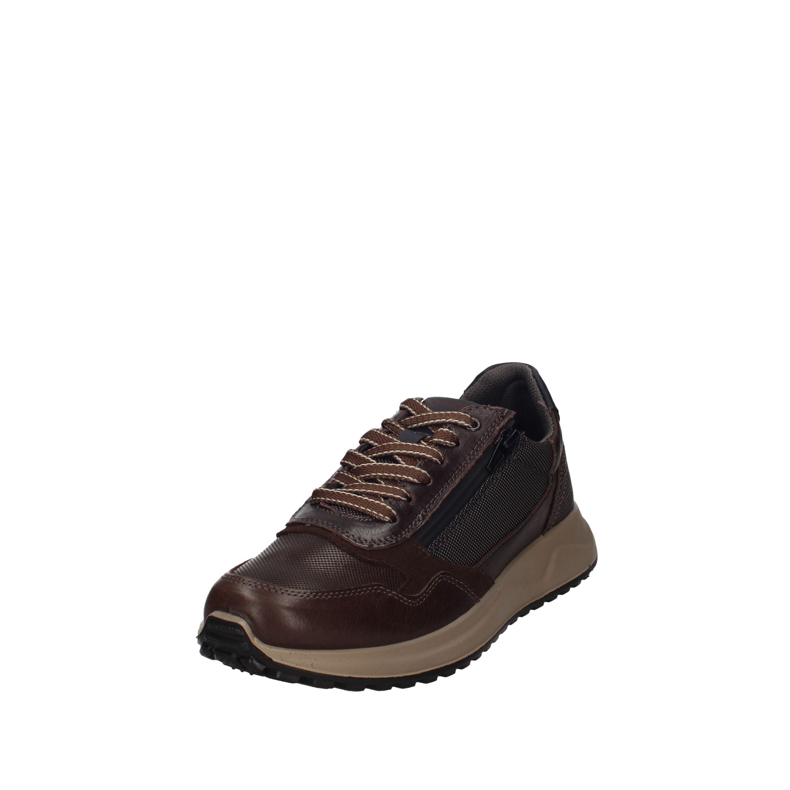 IGI&CO SARONNO 2138311
