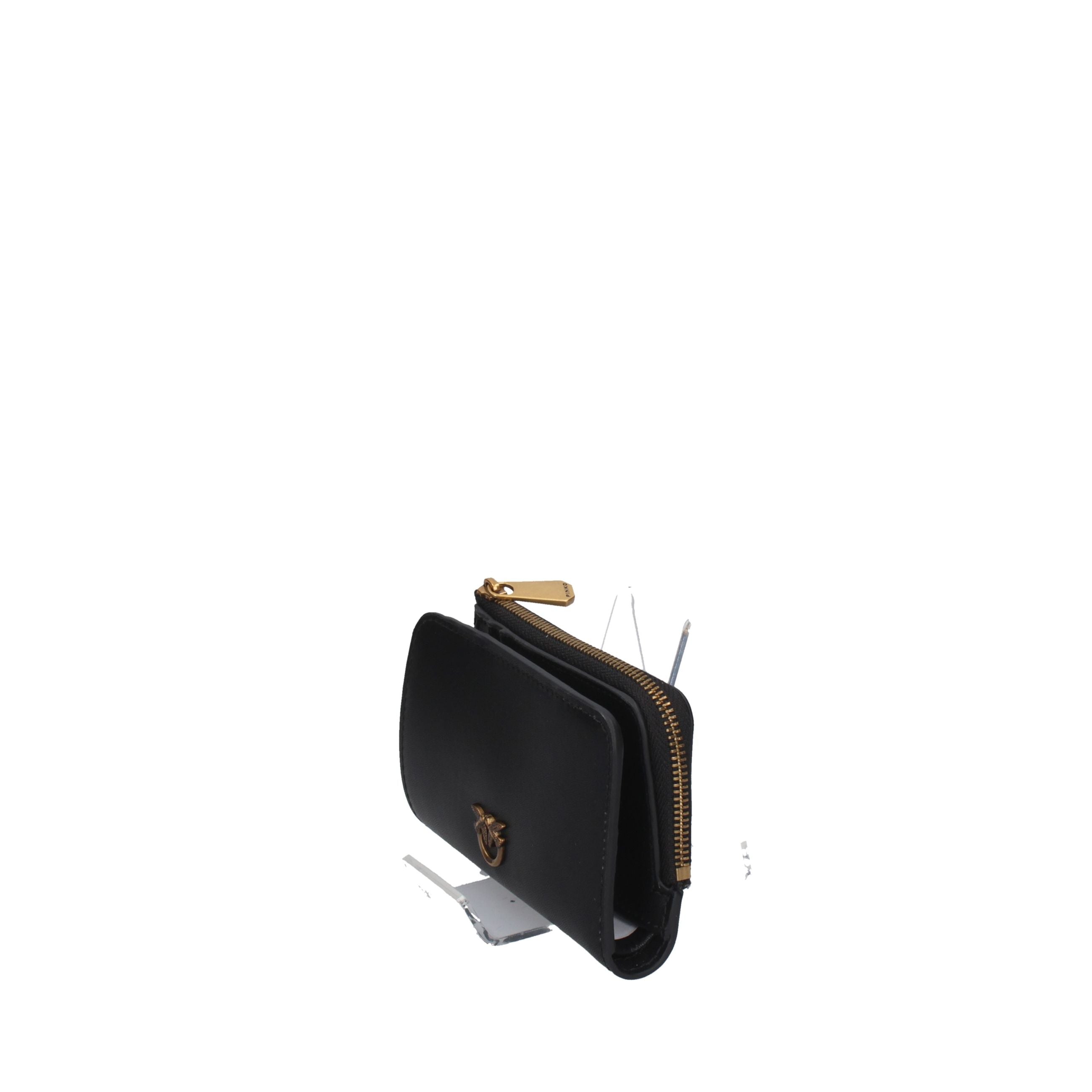 PINKO MINI WALLET 106206-A0F1