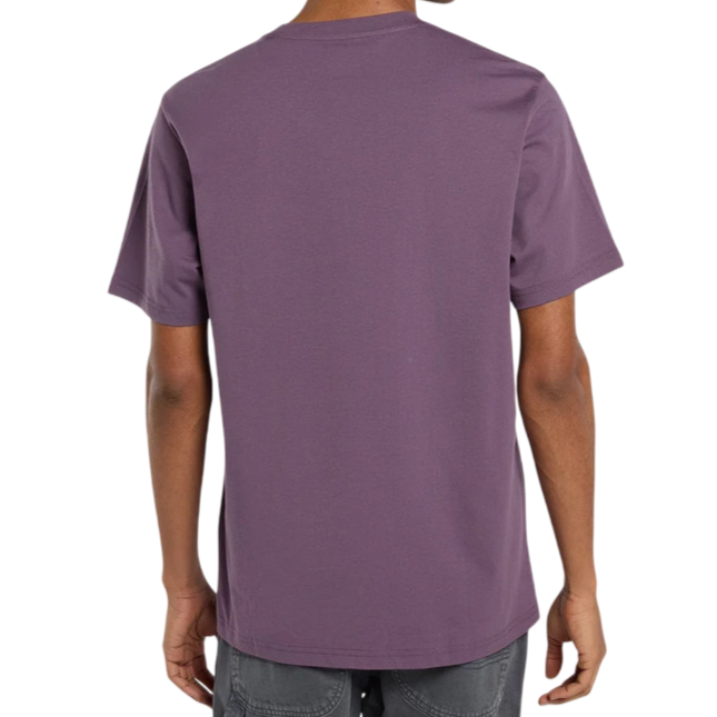 Dickies MAPLETON SS TEE DK0A4XDBL791