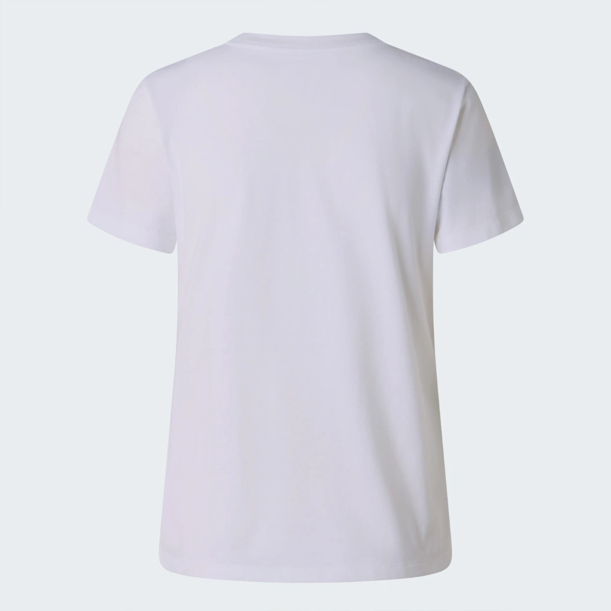The North Face EVOLUTION SD SLIM SS TEE NF0A8FX7FN4