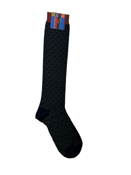 GALLO  AP517175
