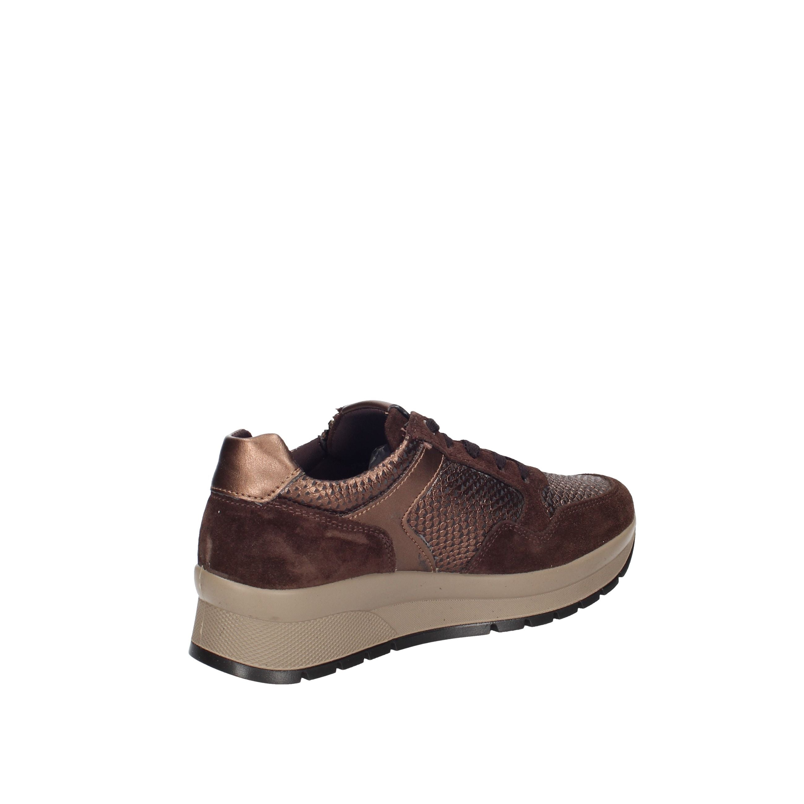 IGI&CO ANASTASIA 2173111