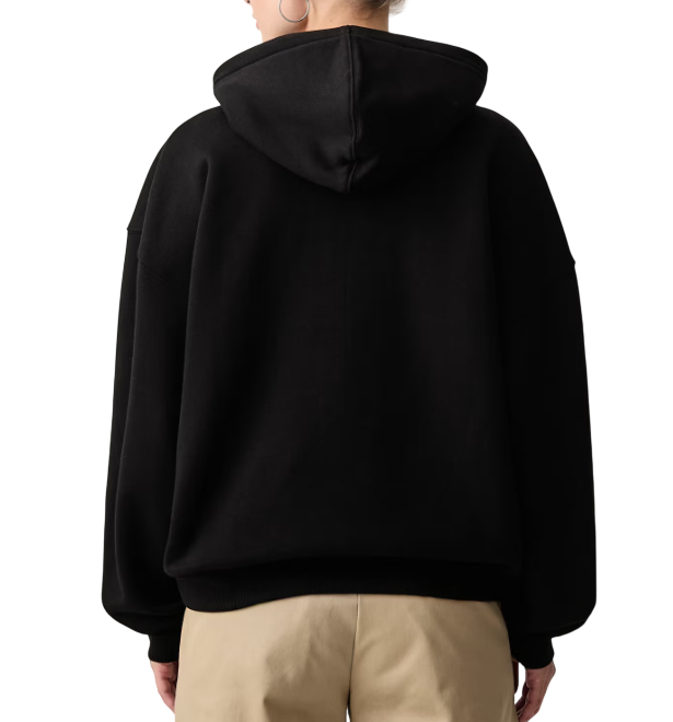 Dickies AKPORT HODDIE DK0A8E35BLK1