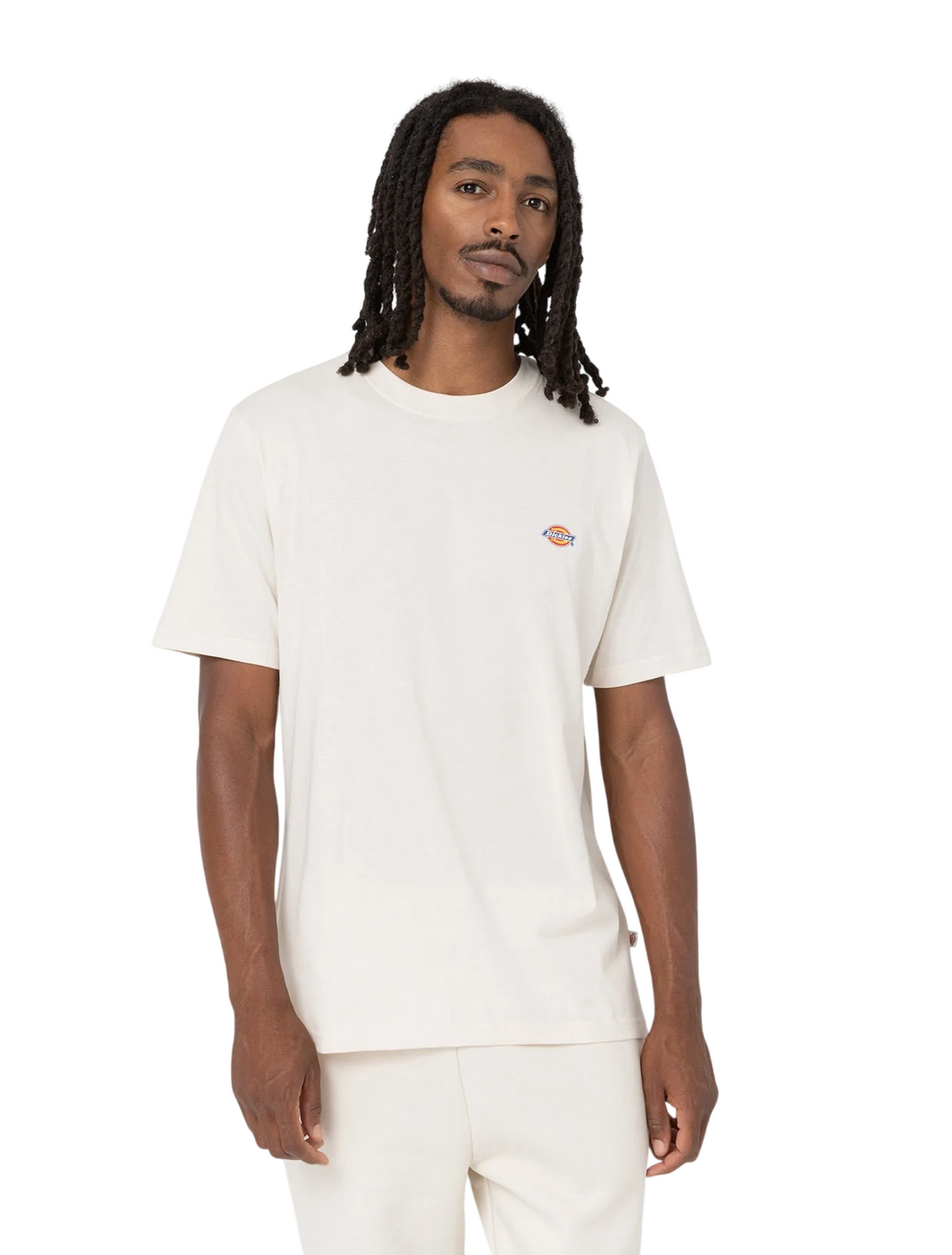 Dickies MAPLETON SS TEE DK0A4XDBF901